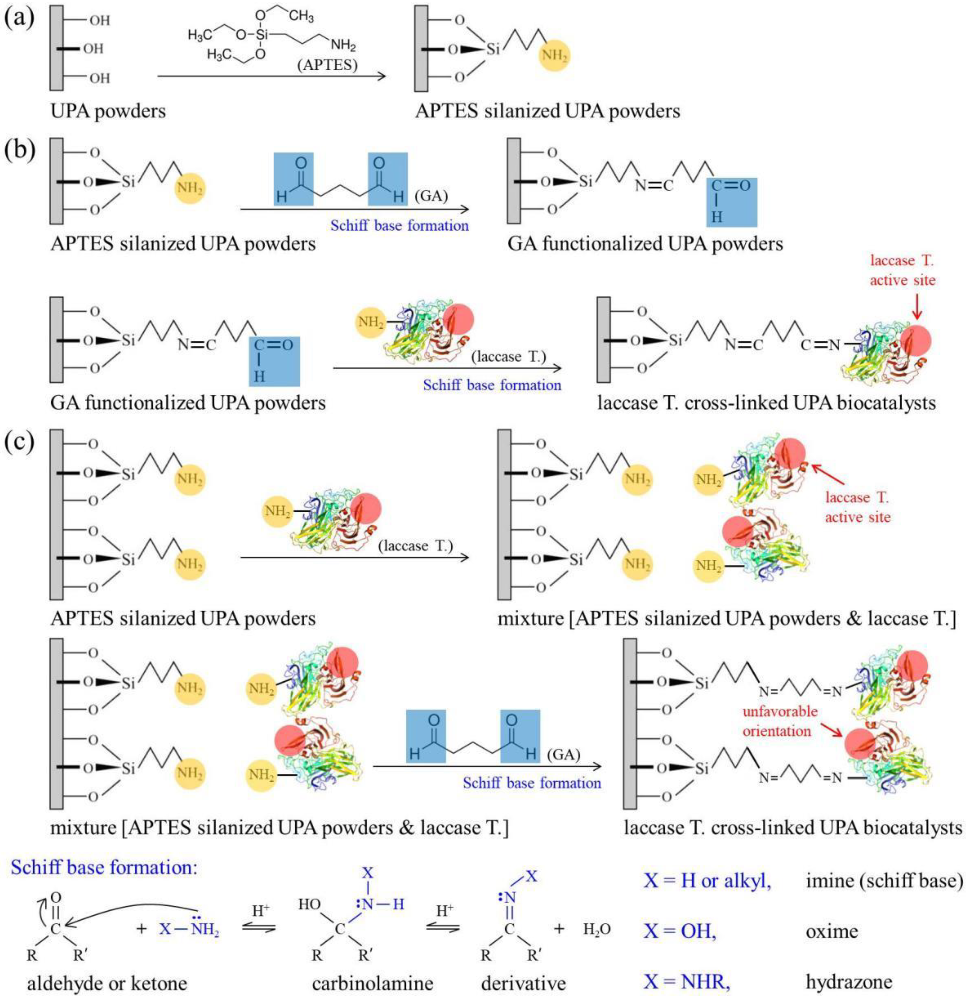 Catalysts 12 00744 g001
