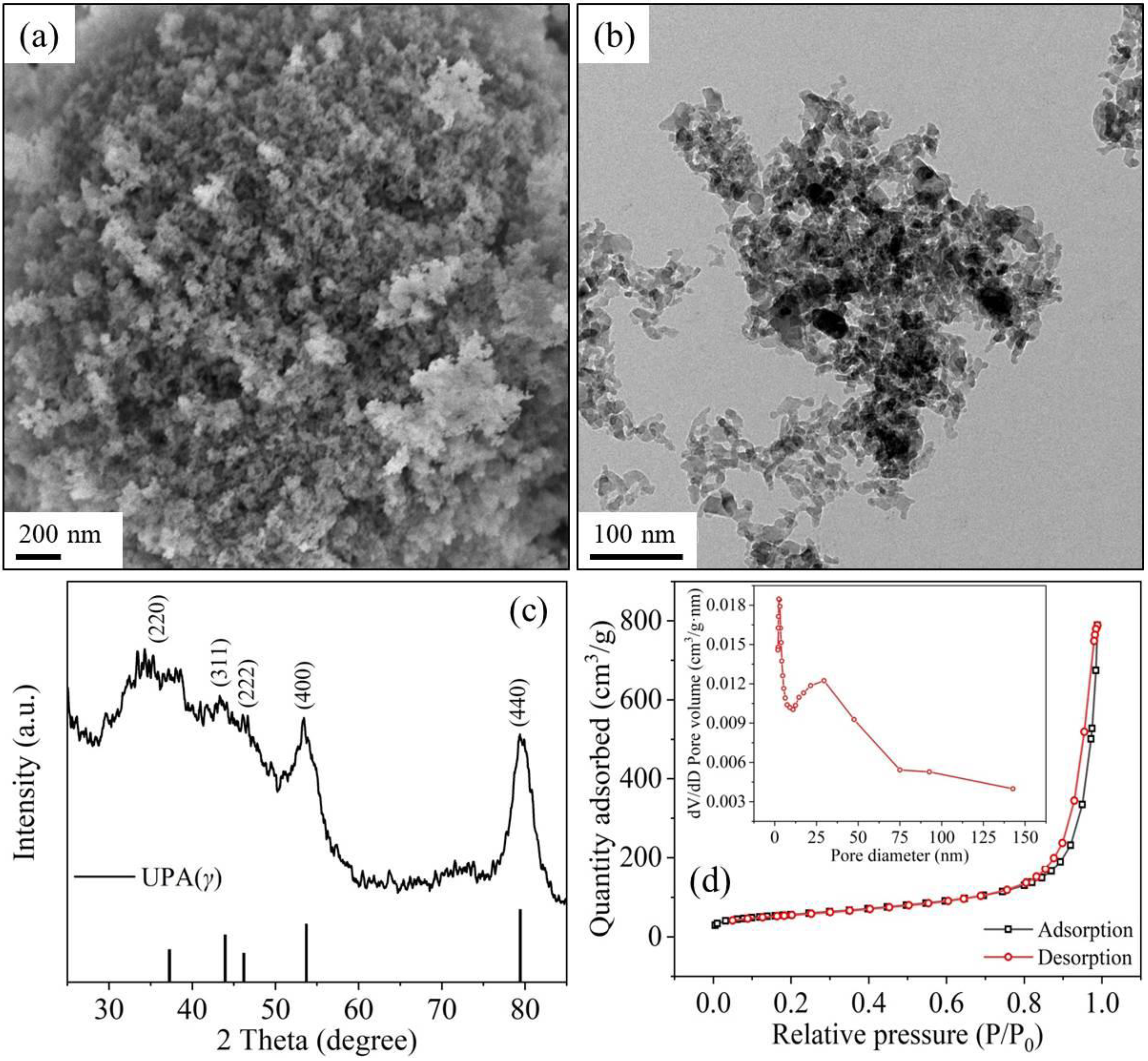 Catalysts 12 00744 g002