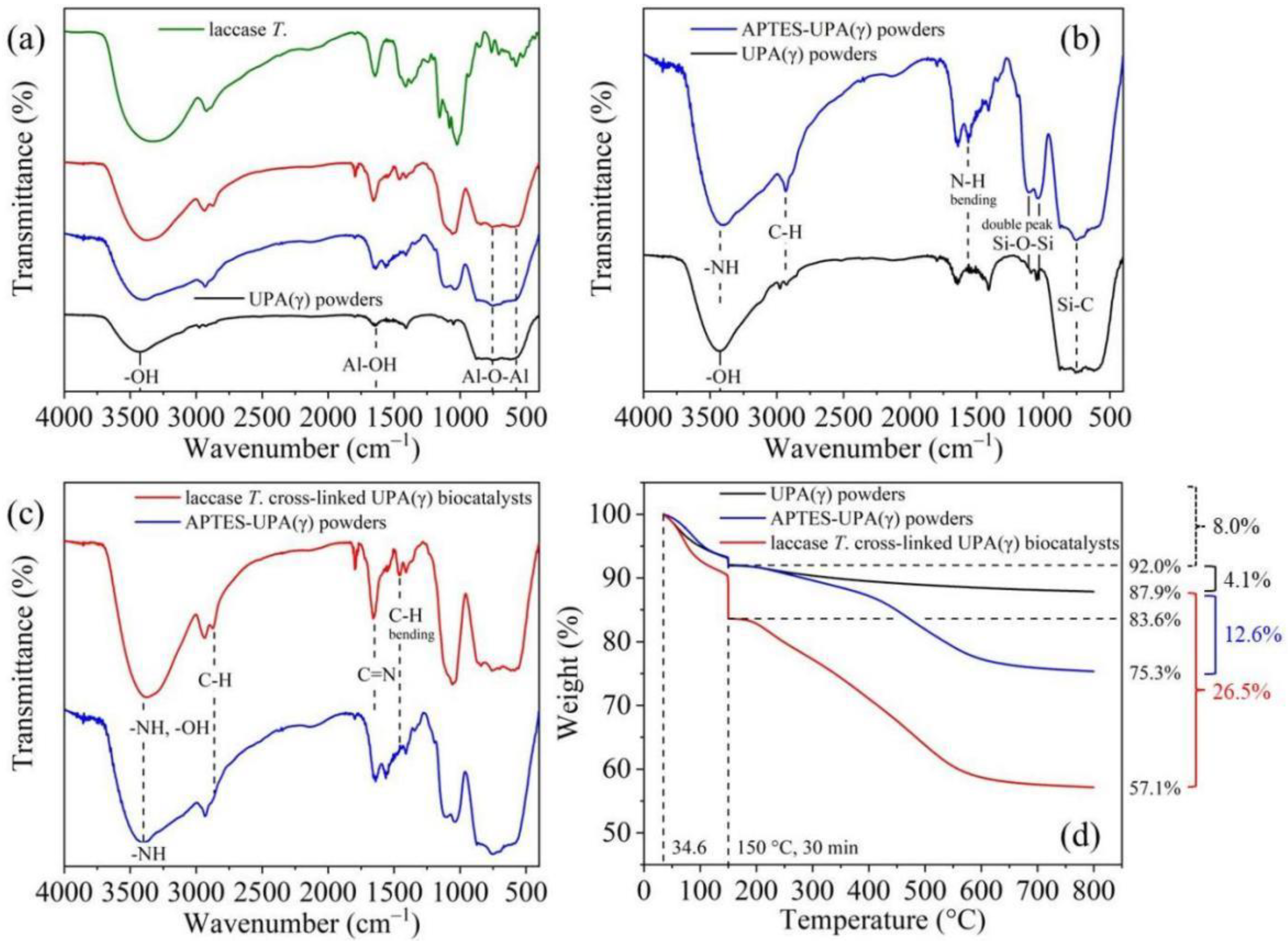 Catalysts 12 00744 g003