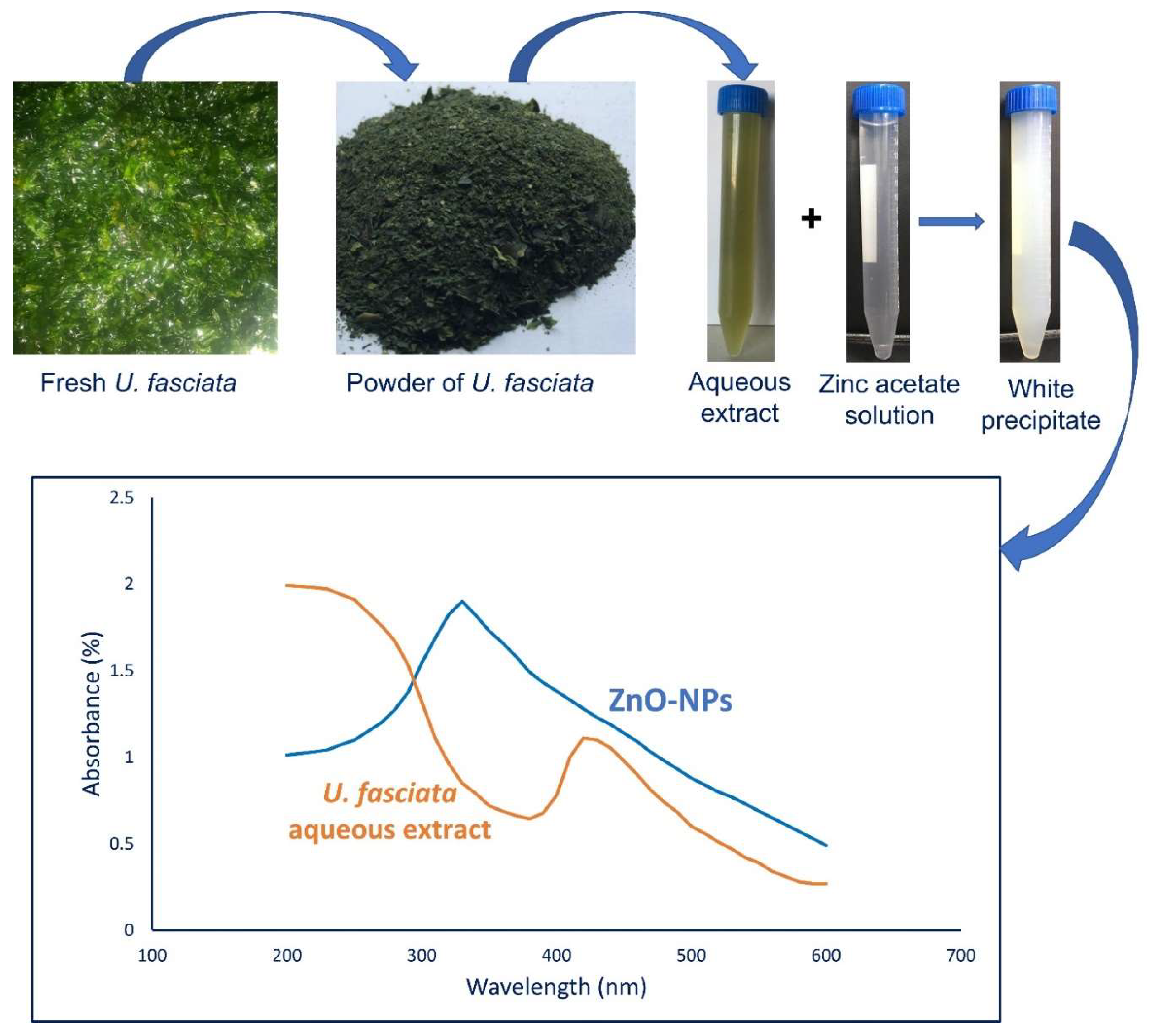 Catalysts 12 00756 g001
