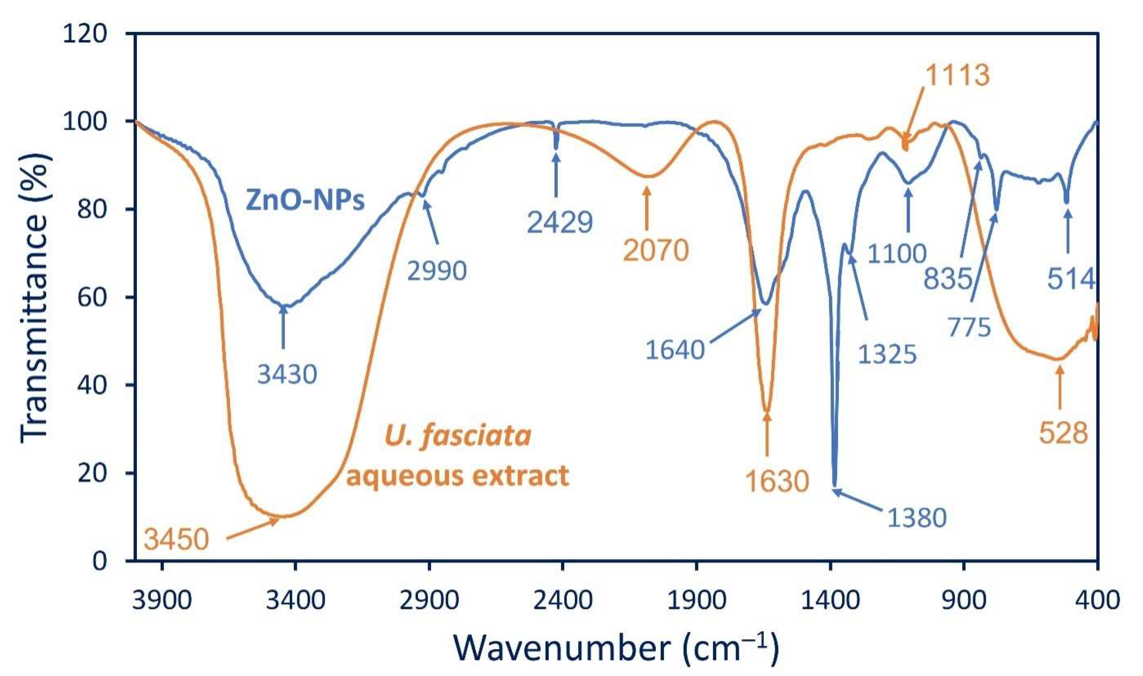 Catalysts 12 00756 g002