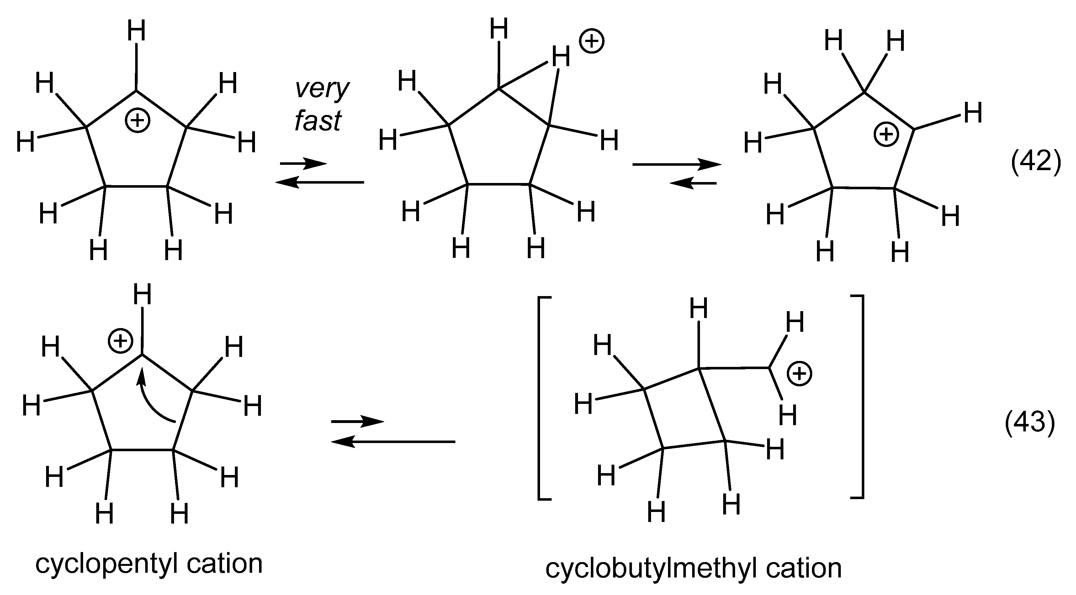 Organic Chemistry stencil: Cyclopentane and cyclohexane