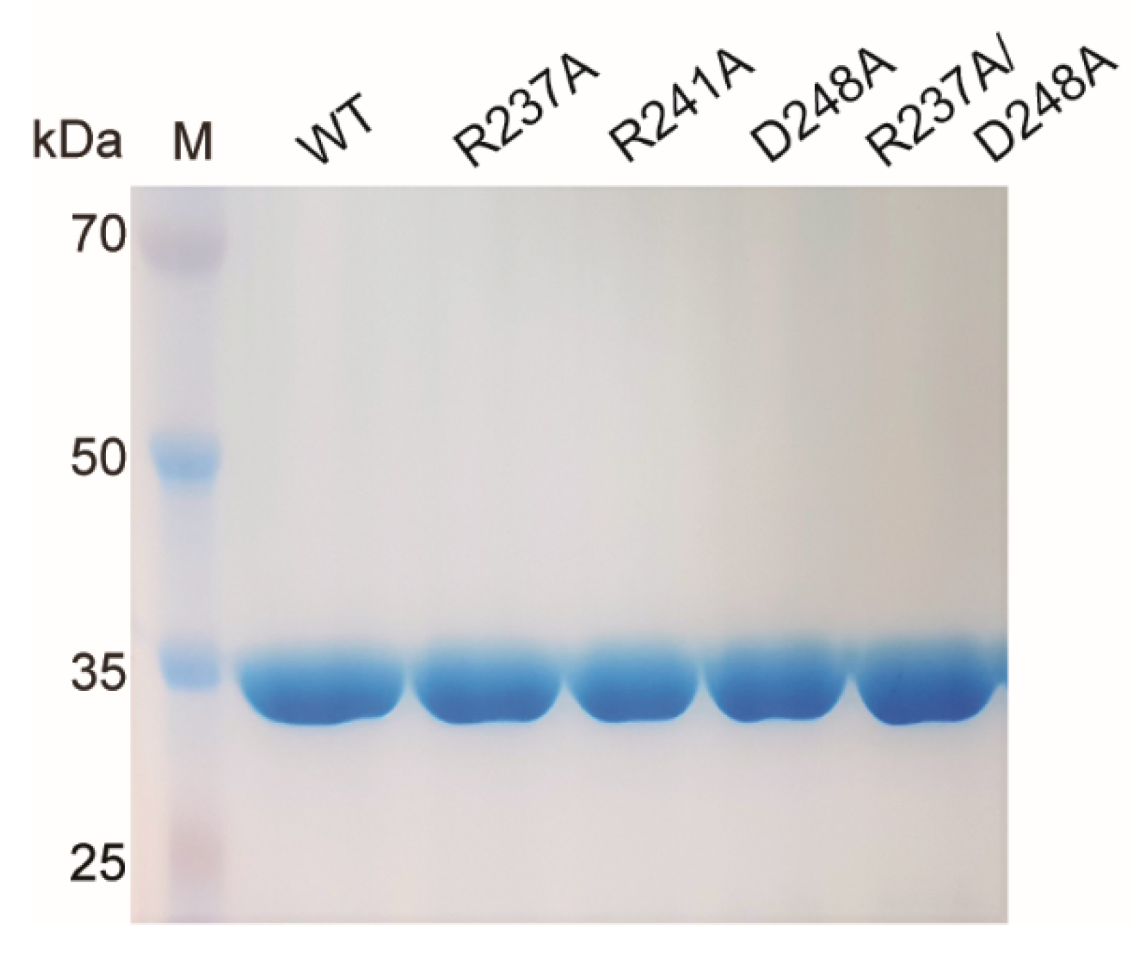 Catalysts 12 00761 g002 550