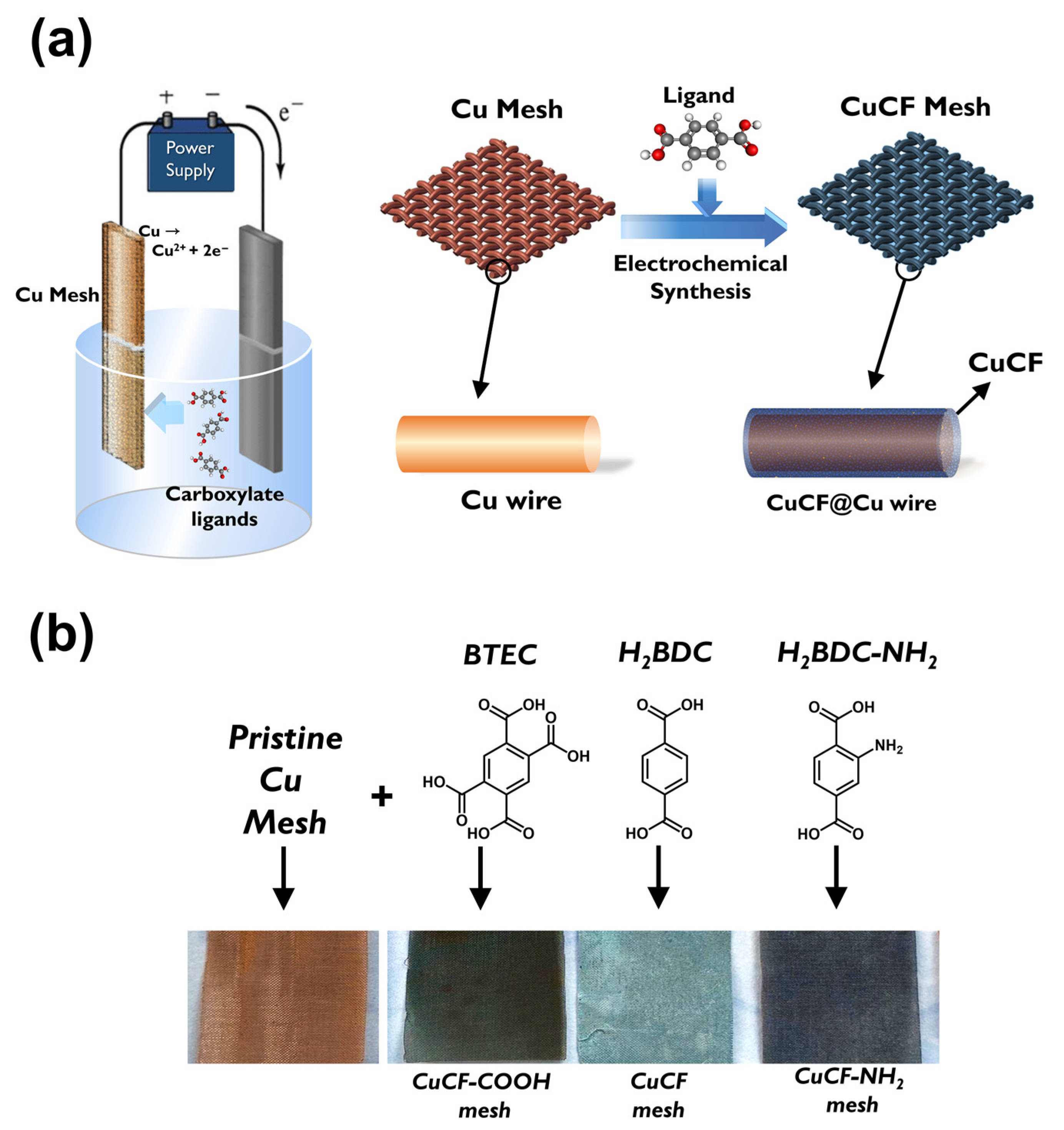 Catalysts 12 00765 g001 Catalysts 12 00765 g001