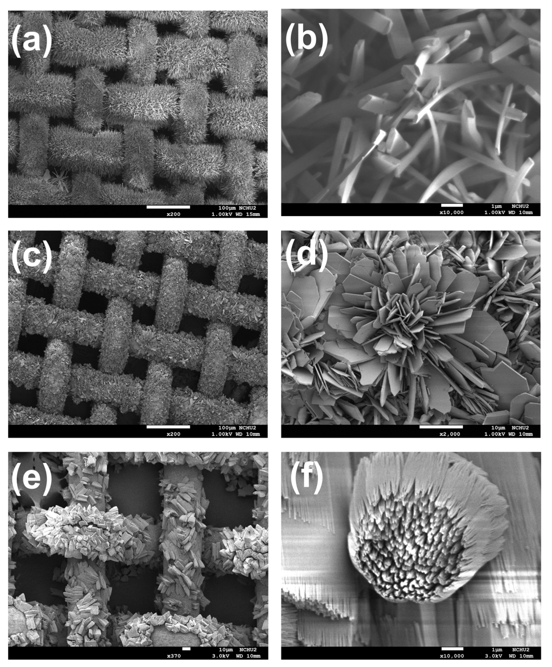 Catalysts 12 00765 g002 Catalysts 12 00765 g002