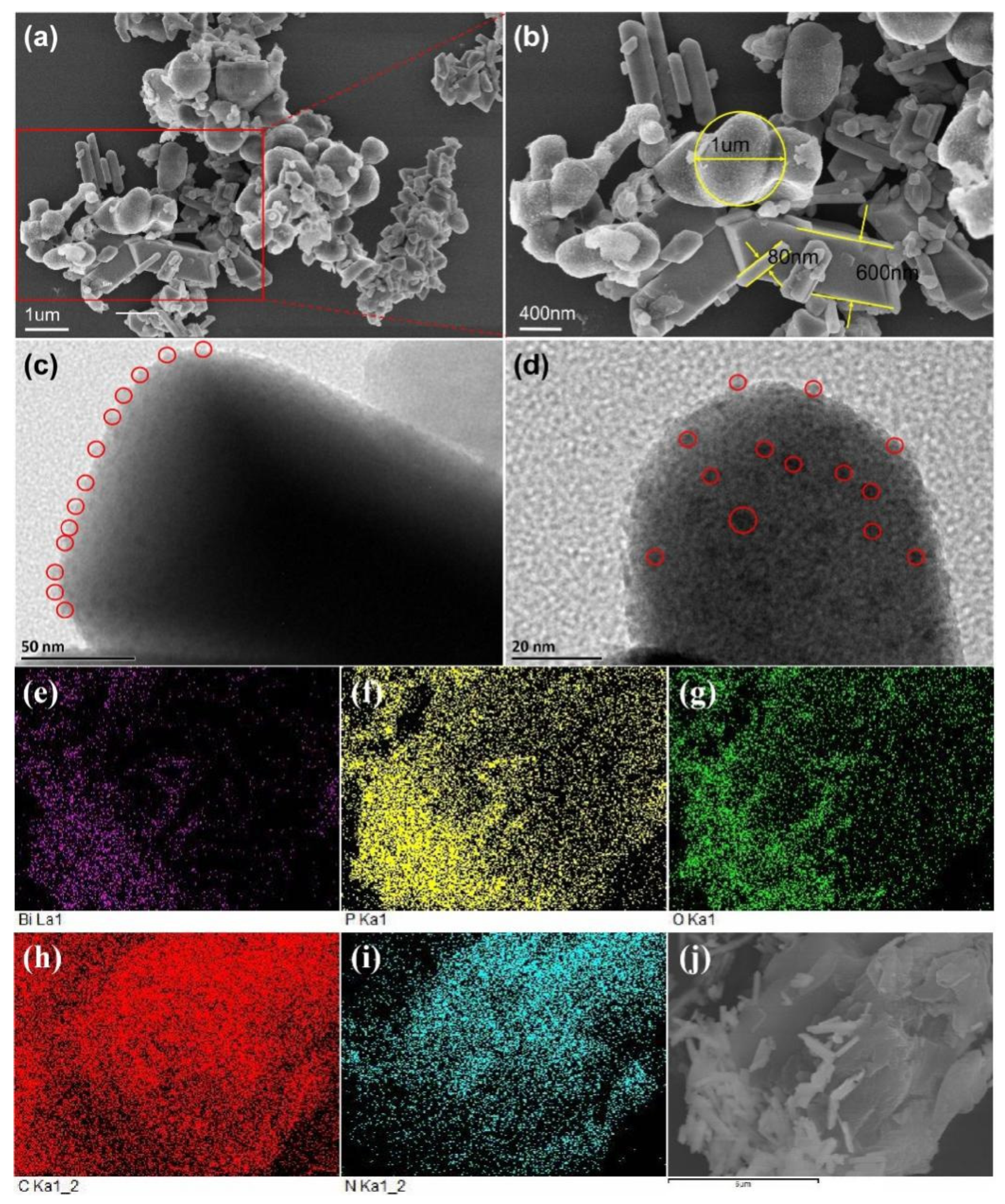 Catalysts 12 00774 g001