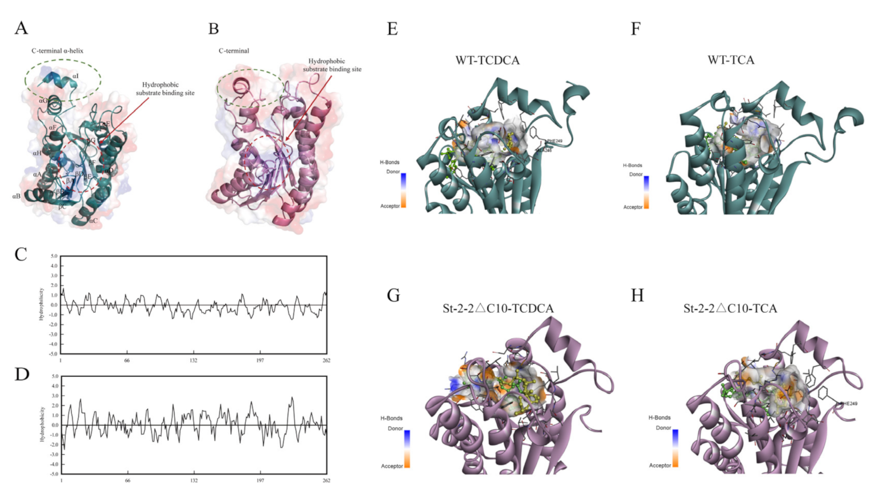 Catalysts 12 00781 g005