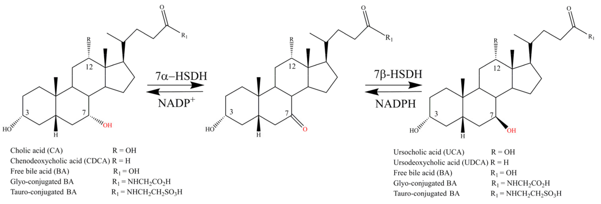 Catalysts 12 00781 sch001
