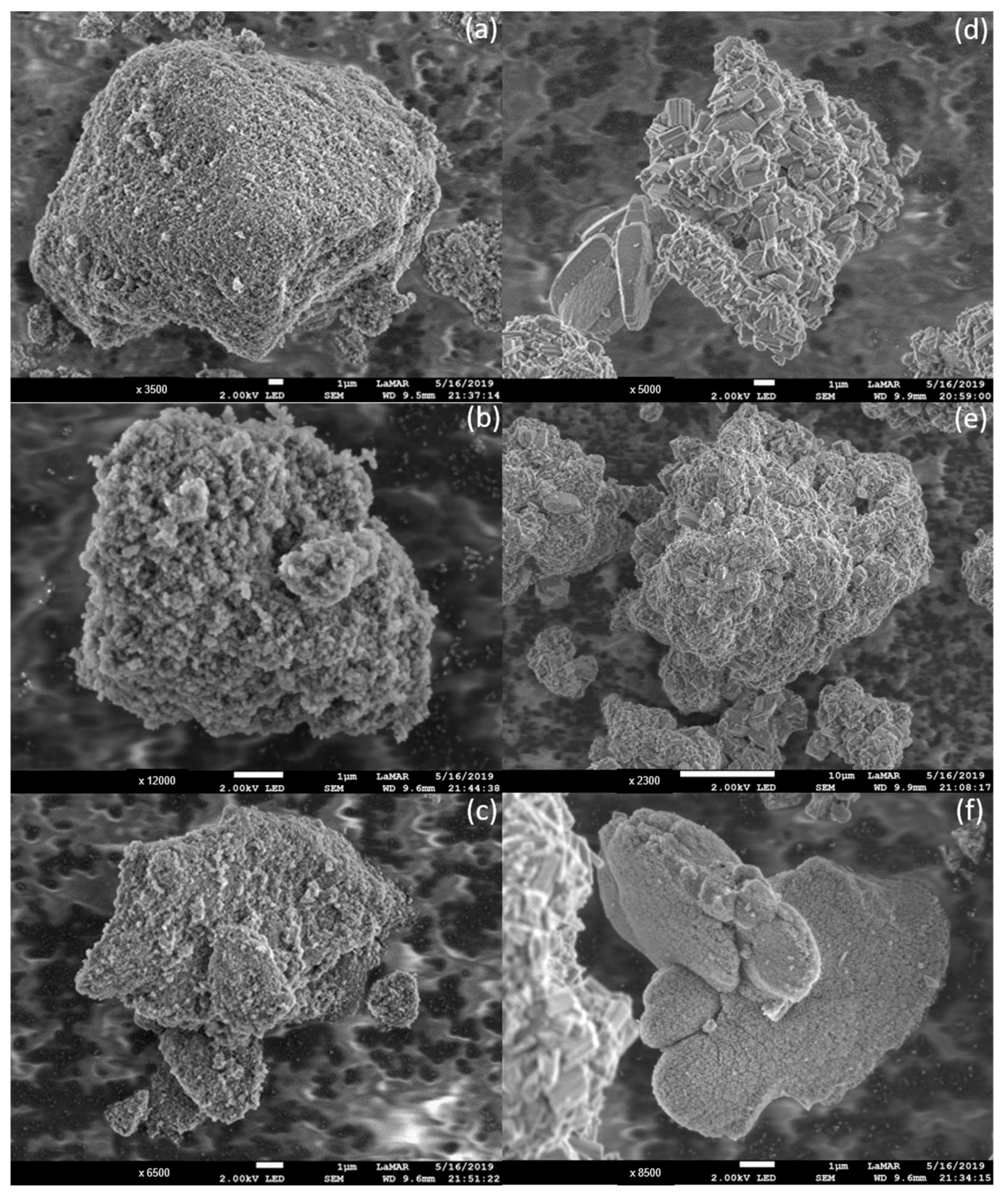 Catalysts 12 00783 g003