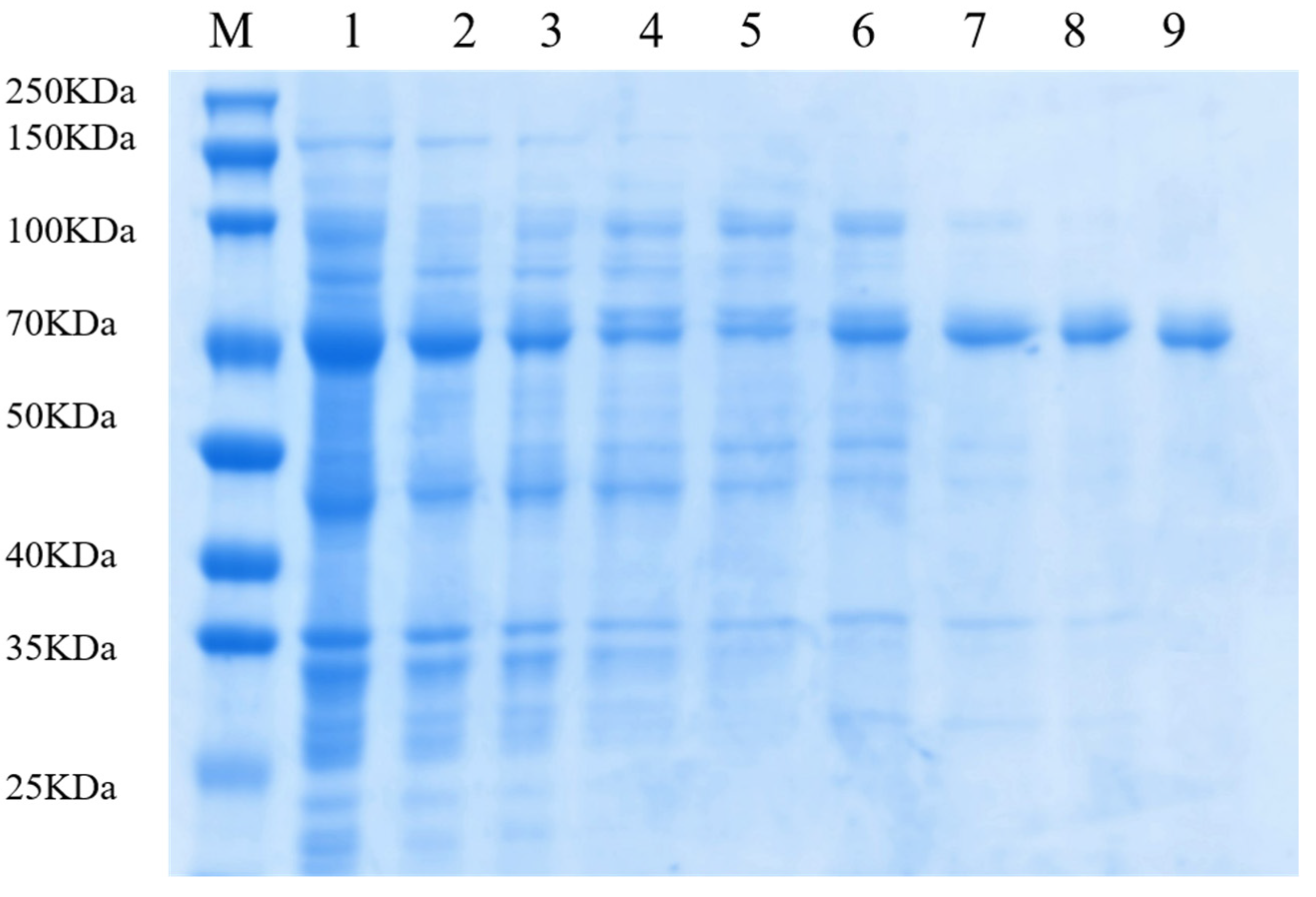 Catalysts 12 00784 g002 550