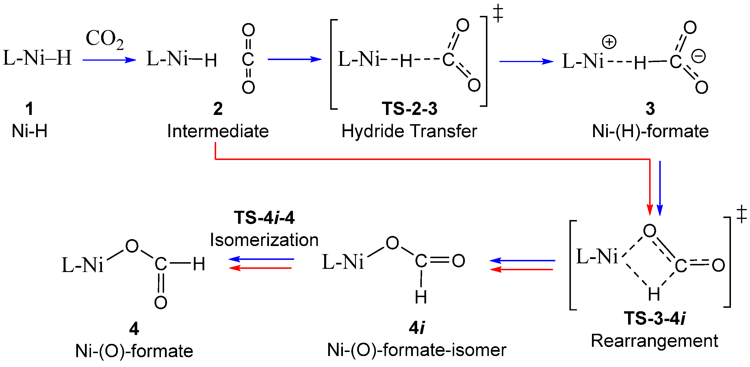 Catalysts 12 00790 sch001