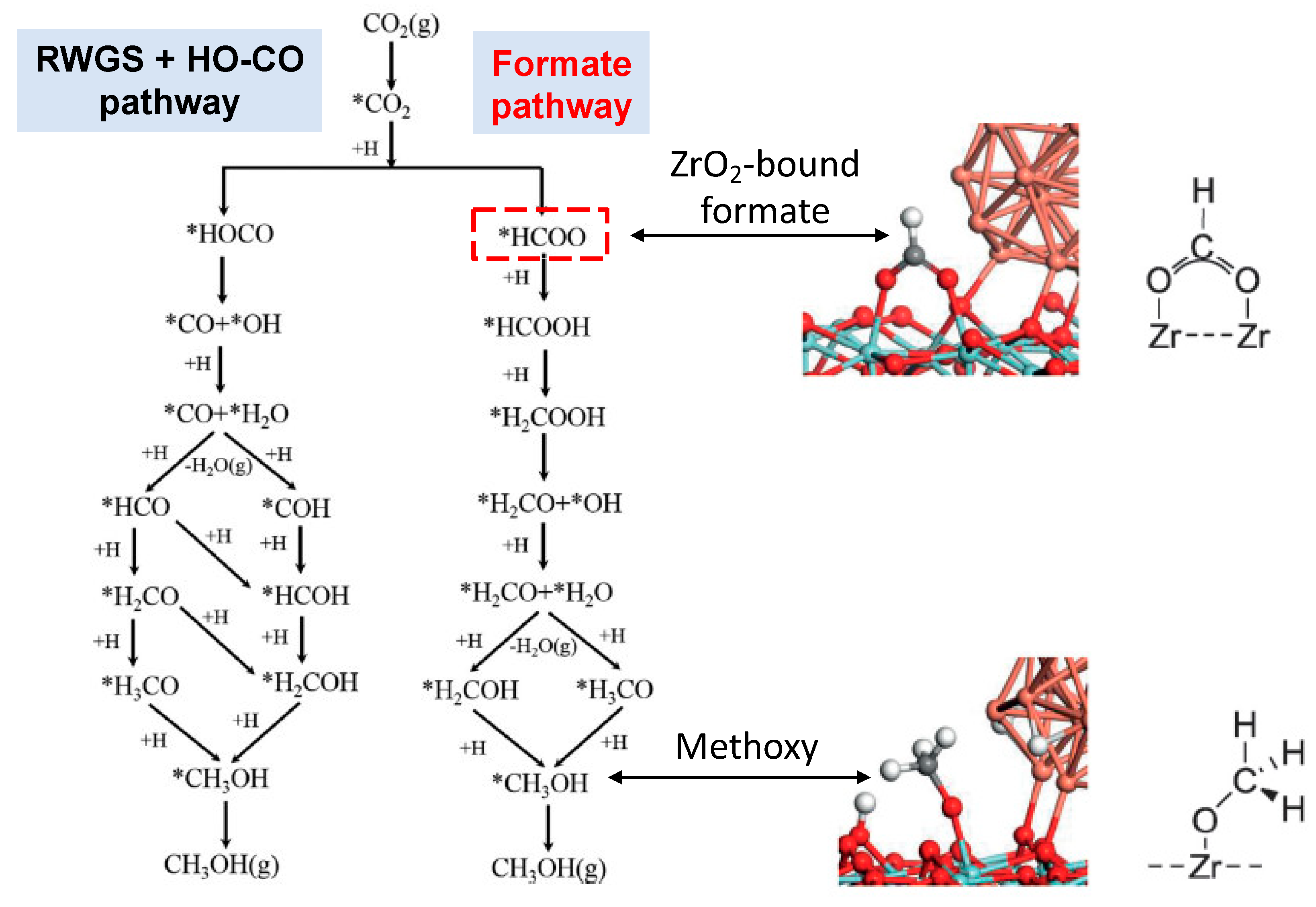 Catalysts 12 00793 g001