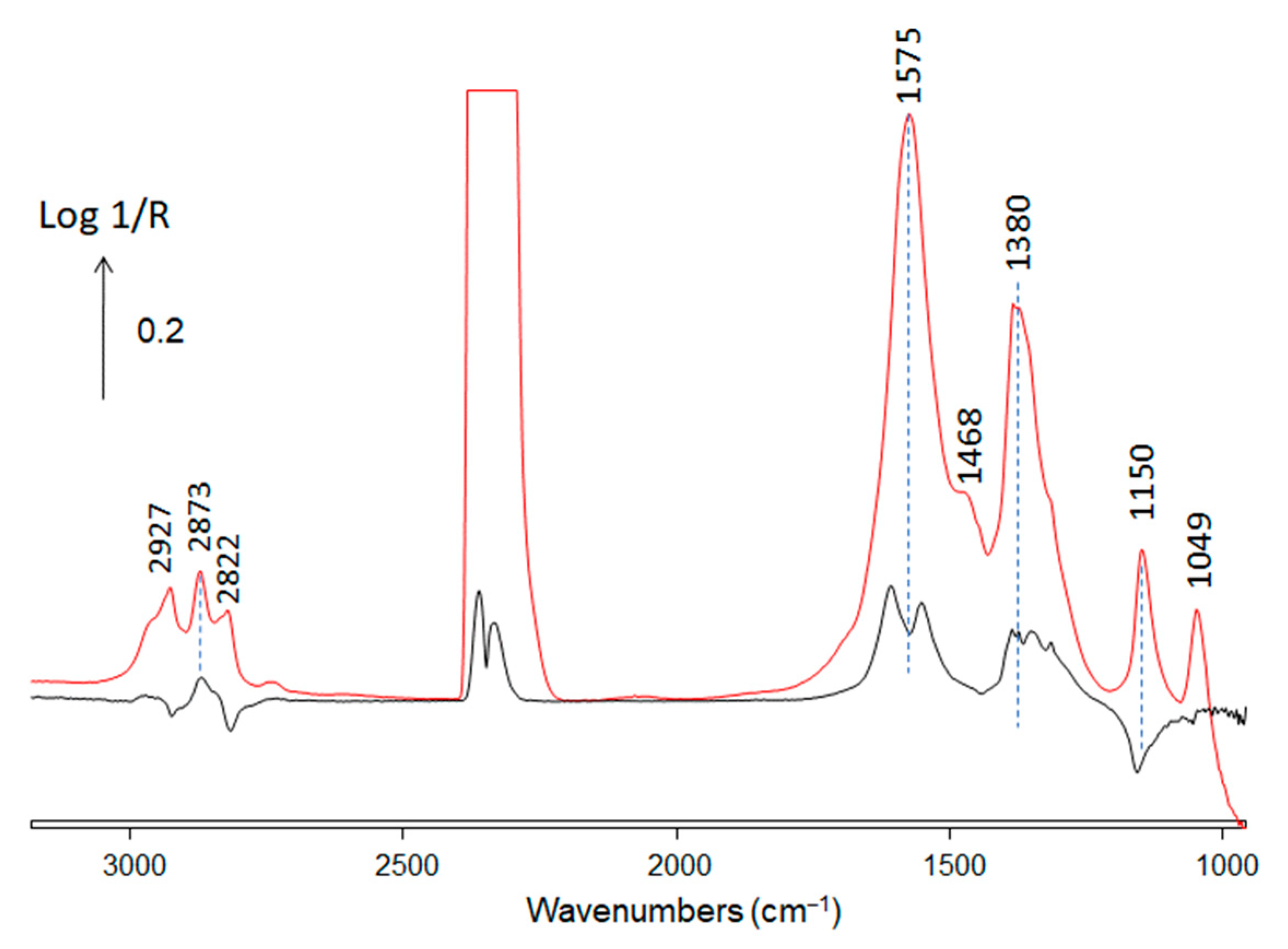 Catalysts 12 00793 g005
