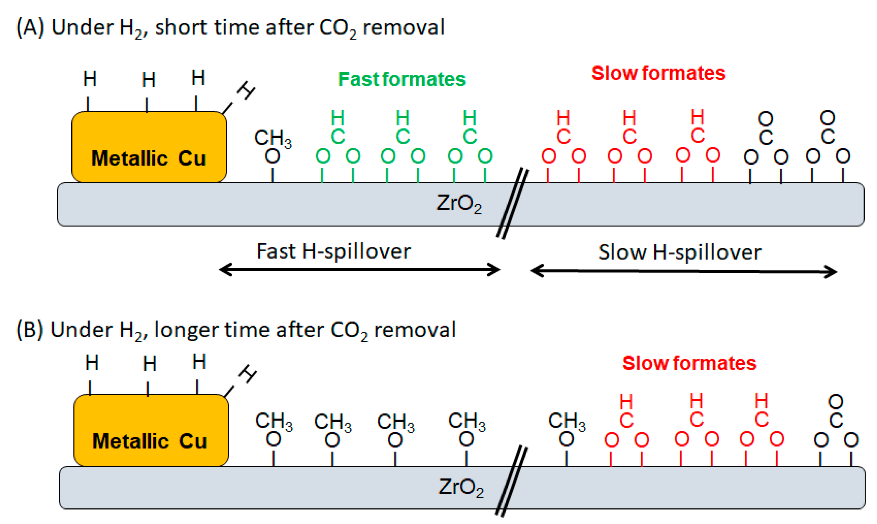 Catalysts 12 00793 g007