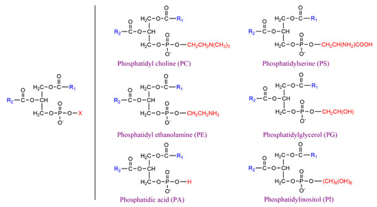 Progress & Prospect of Enzyme-Mediated Structured