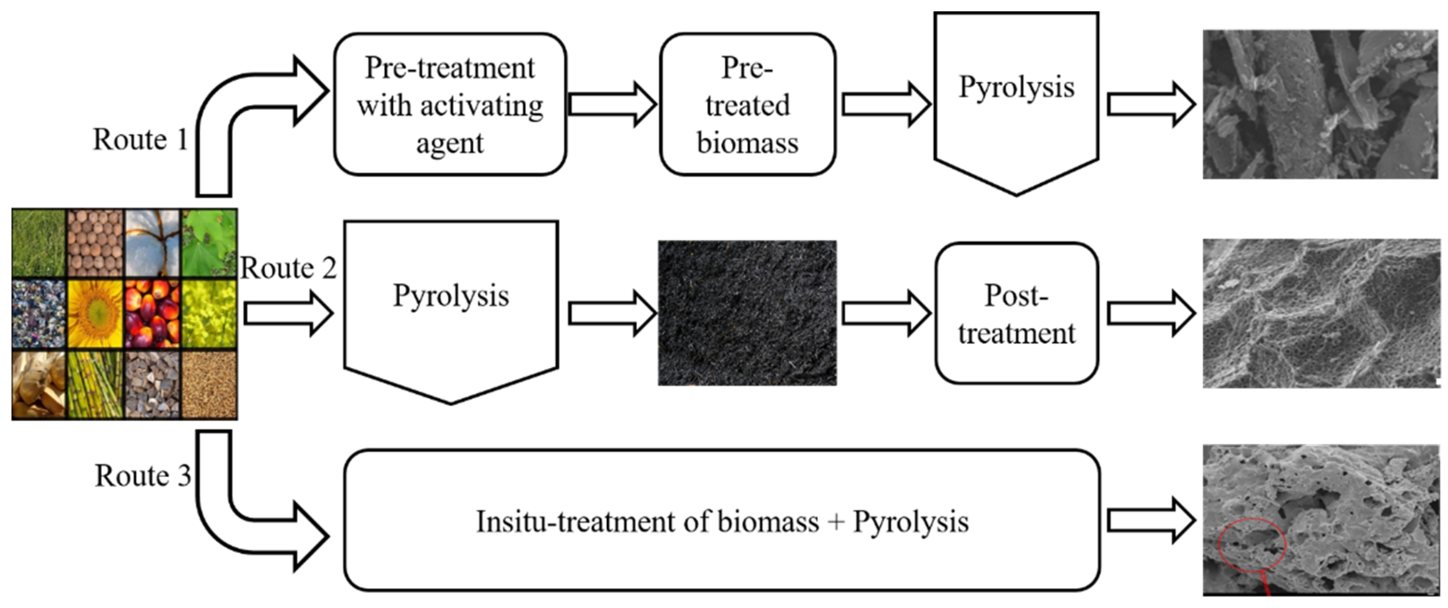 Catalysts 12 00798 g003 550