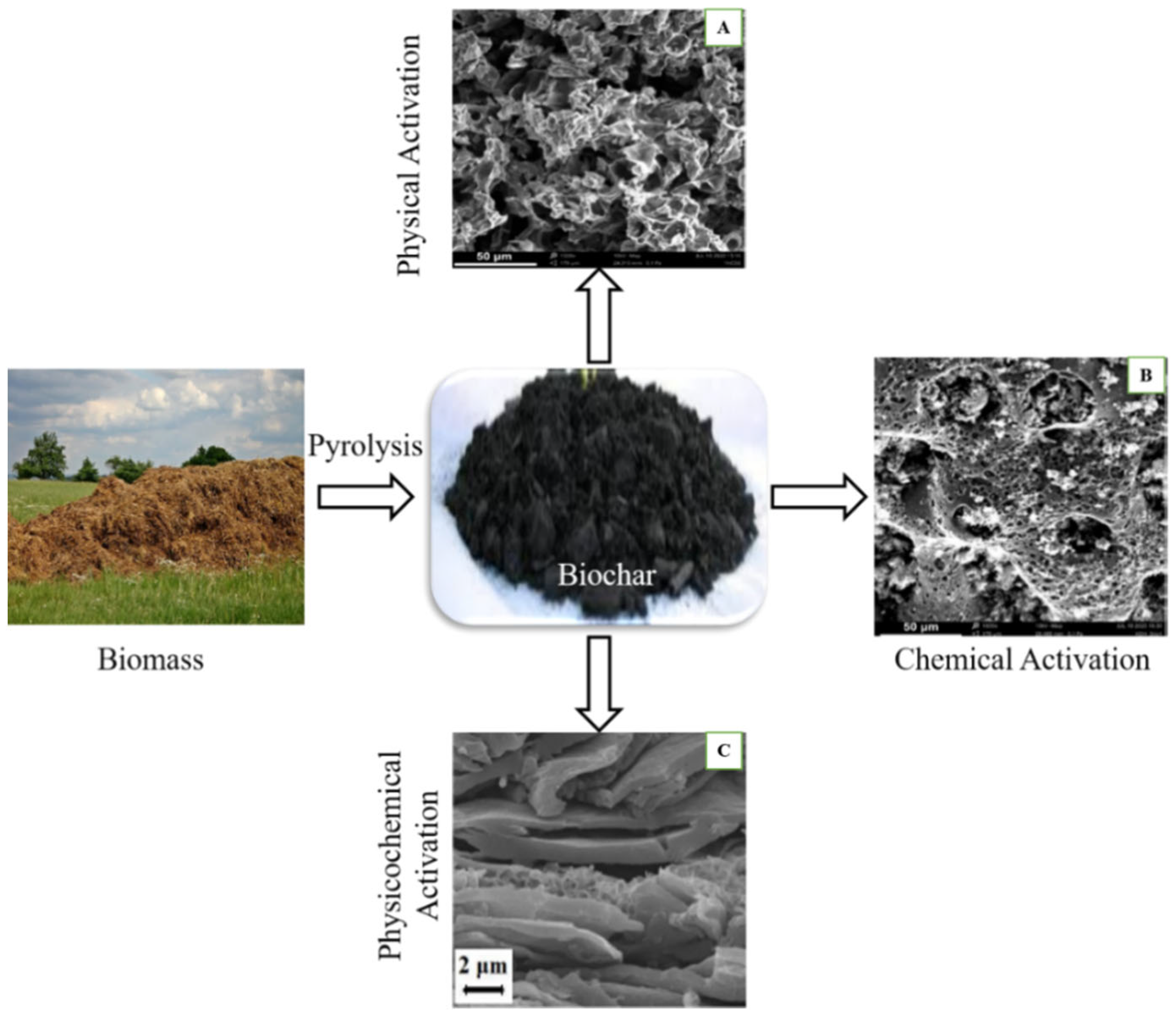 Catalysts 12 00798 g004 550