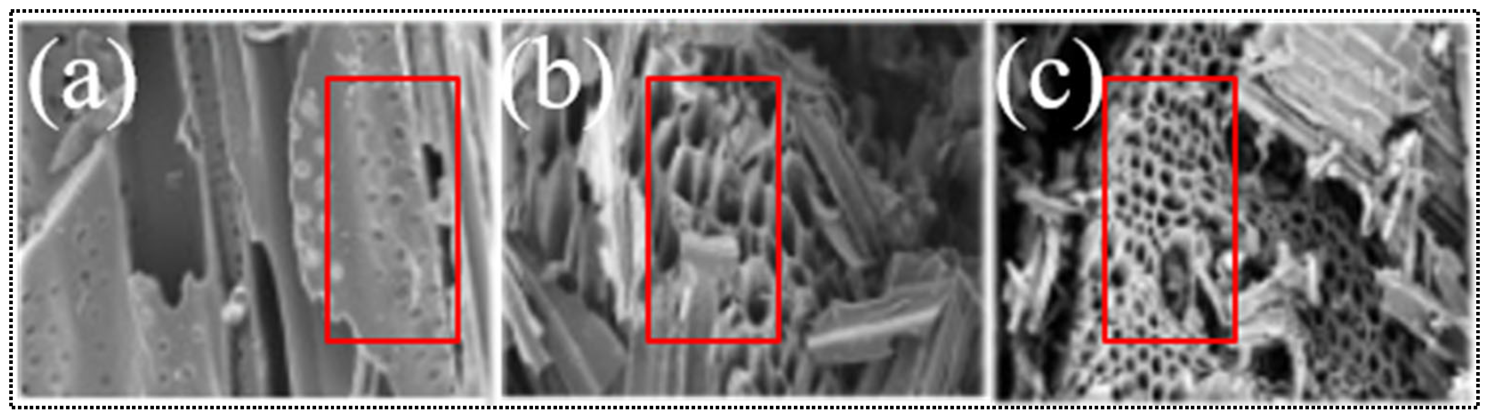 Catalysts 12 00798 g006 550