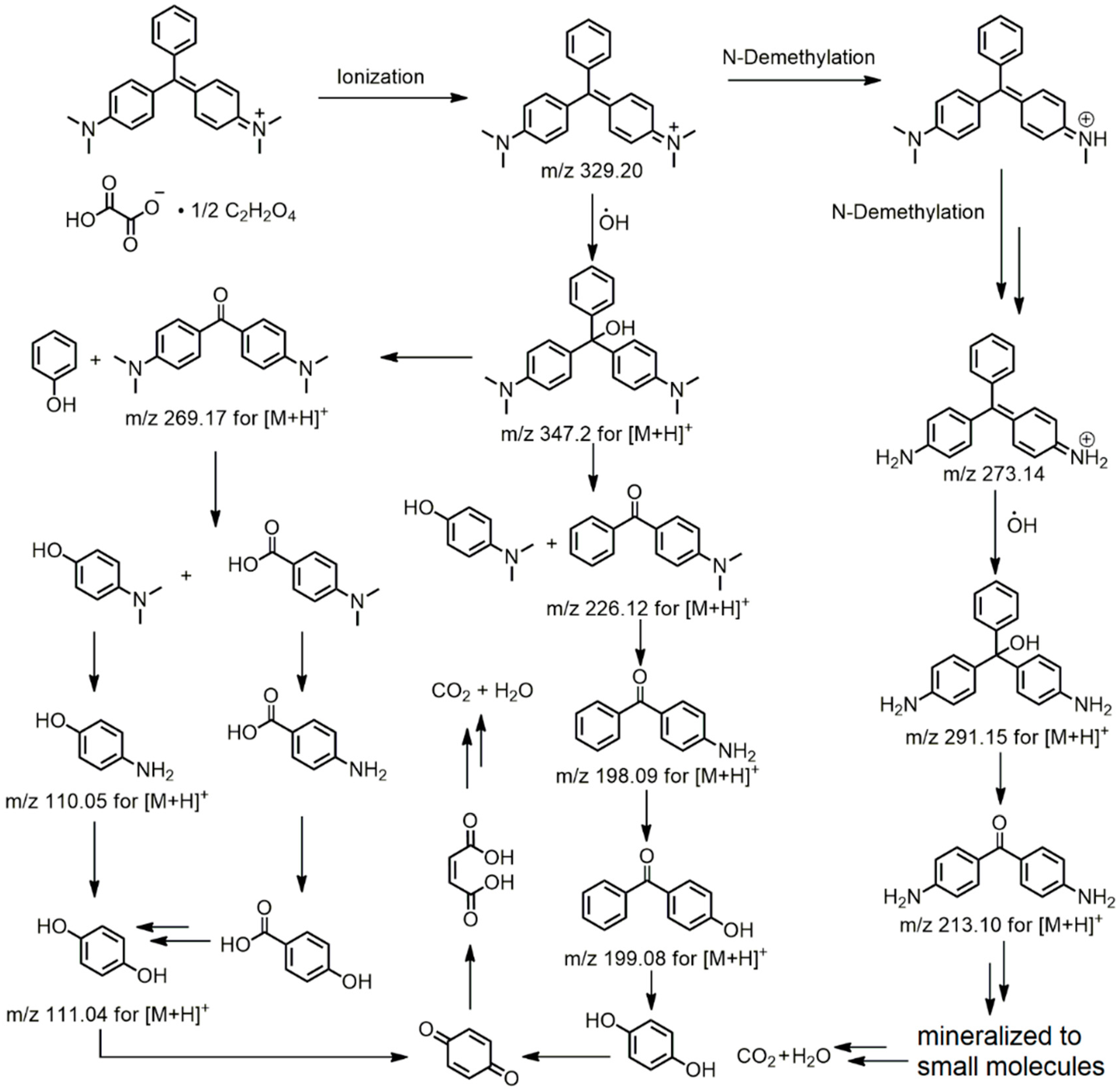 Catalysts 12 00799 g010