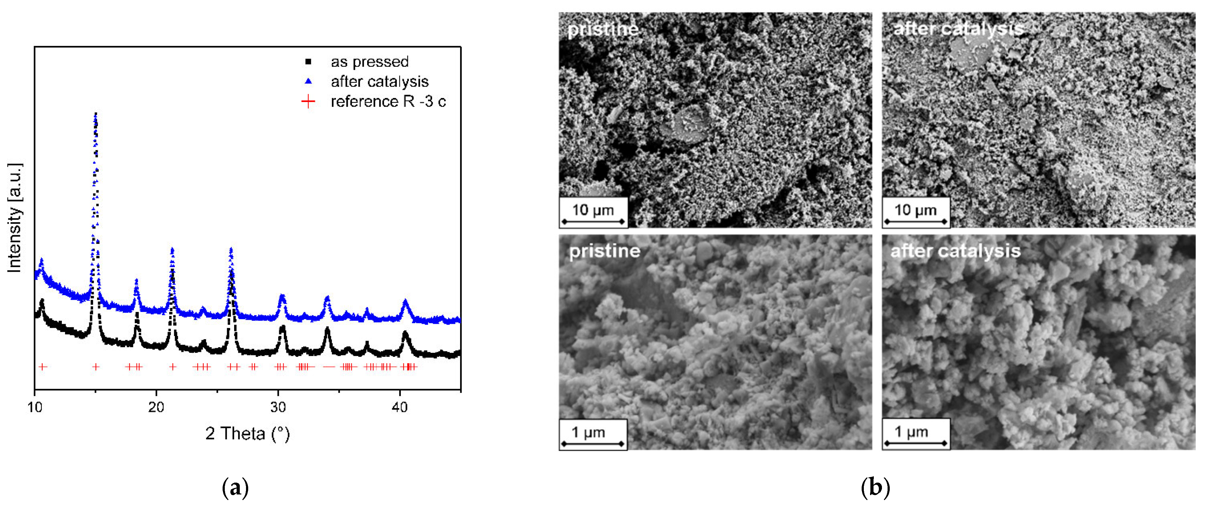 Catalysts 12 00802 g006 550