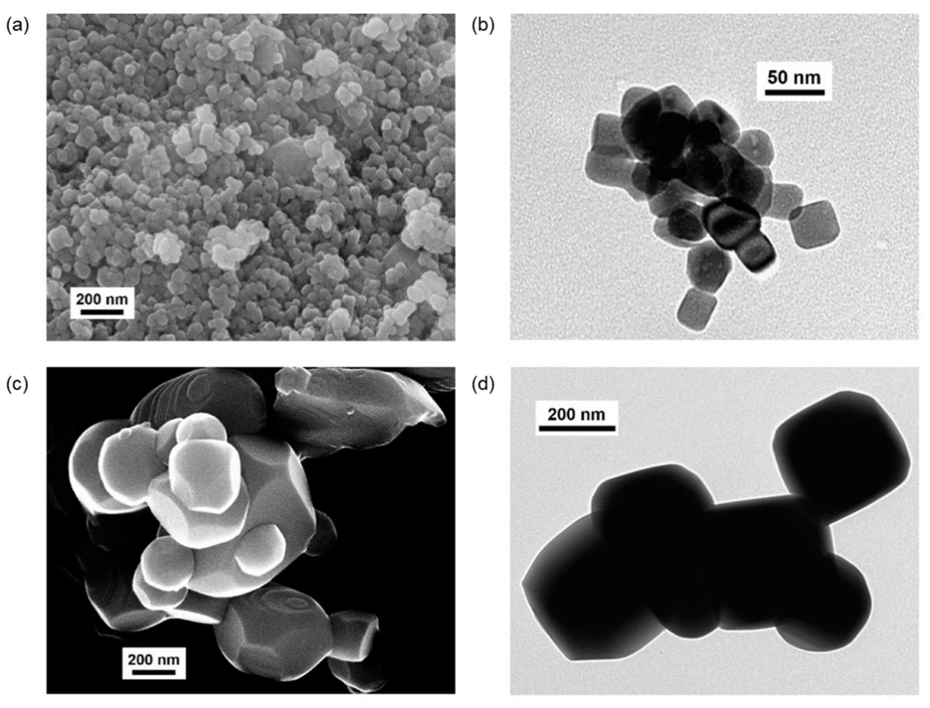 Catalysts 12 00804 g007