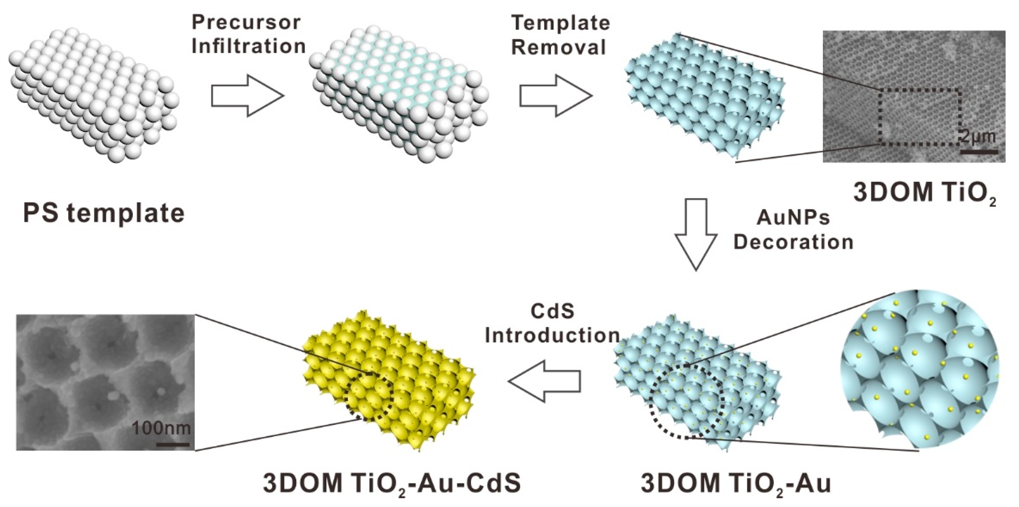 Catalysts 12 00819 g001