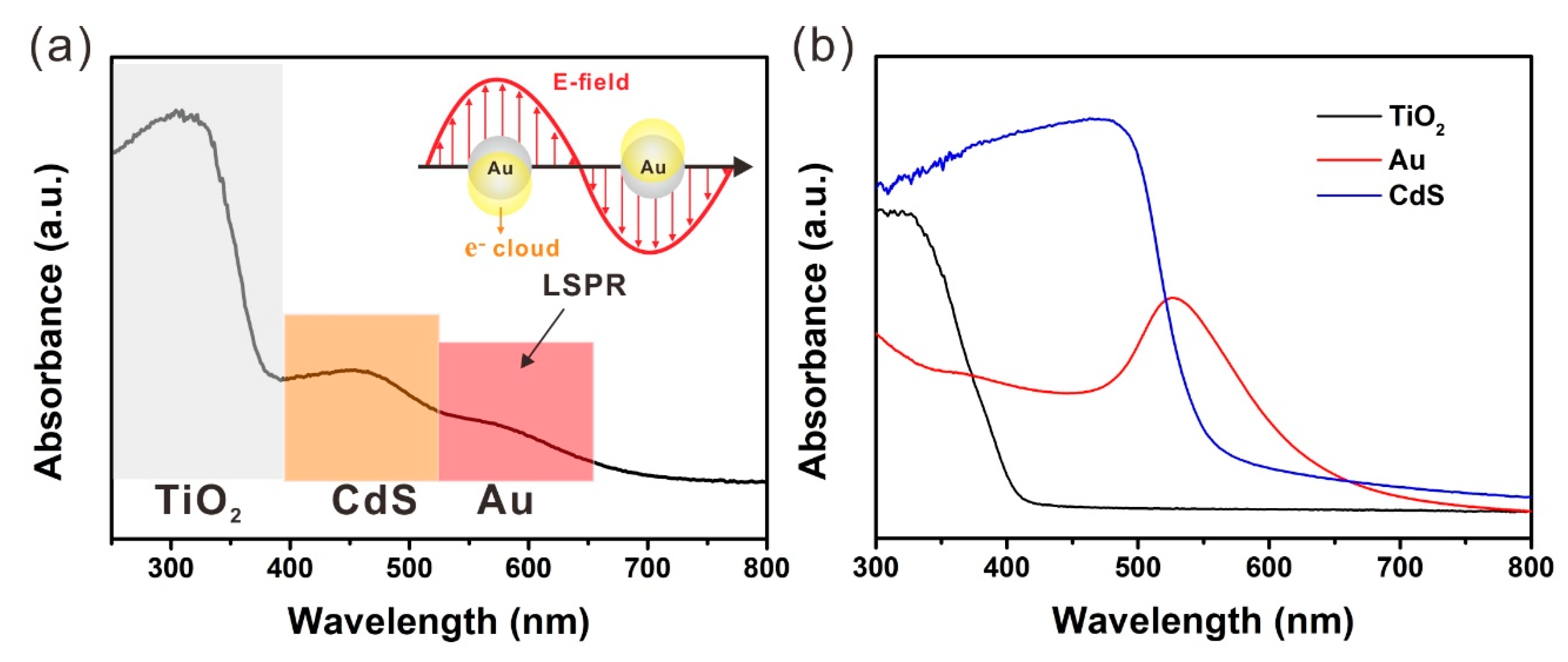 Catalysts 12 00819 g004