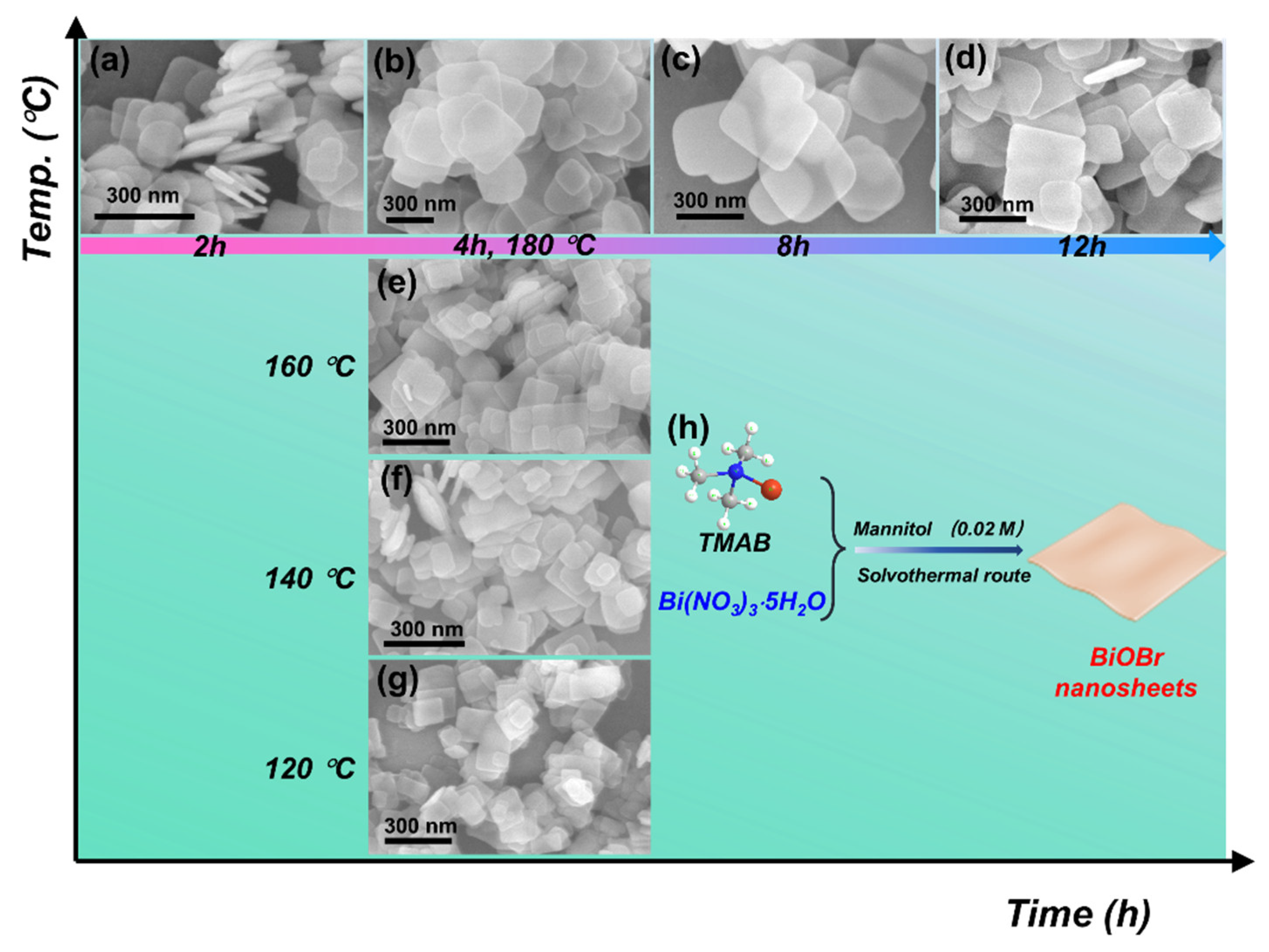 Catalysts 12 00820 g005