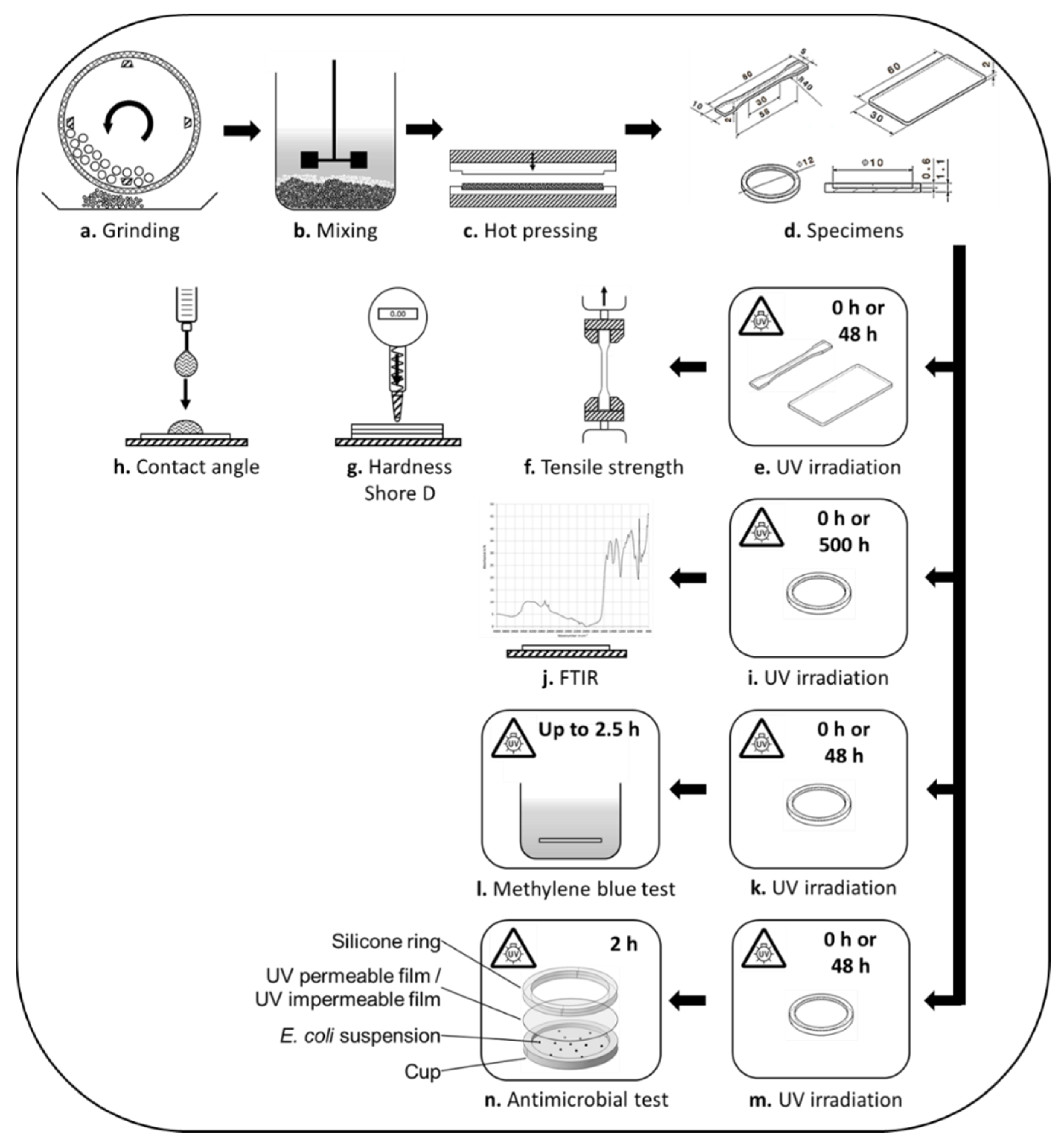 Catalysts 12 00829 g007