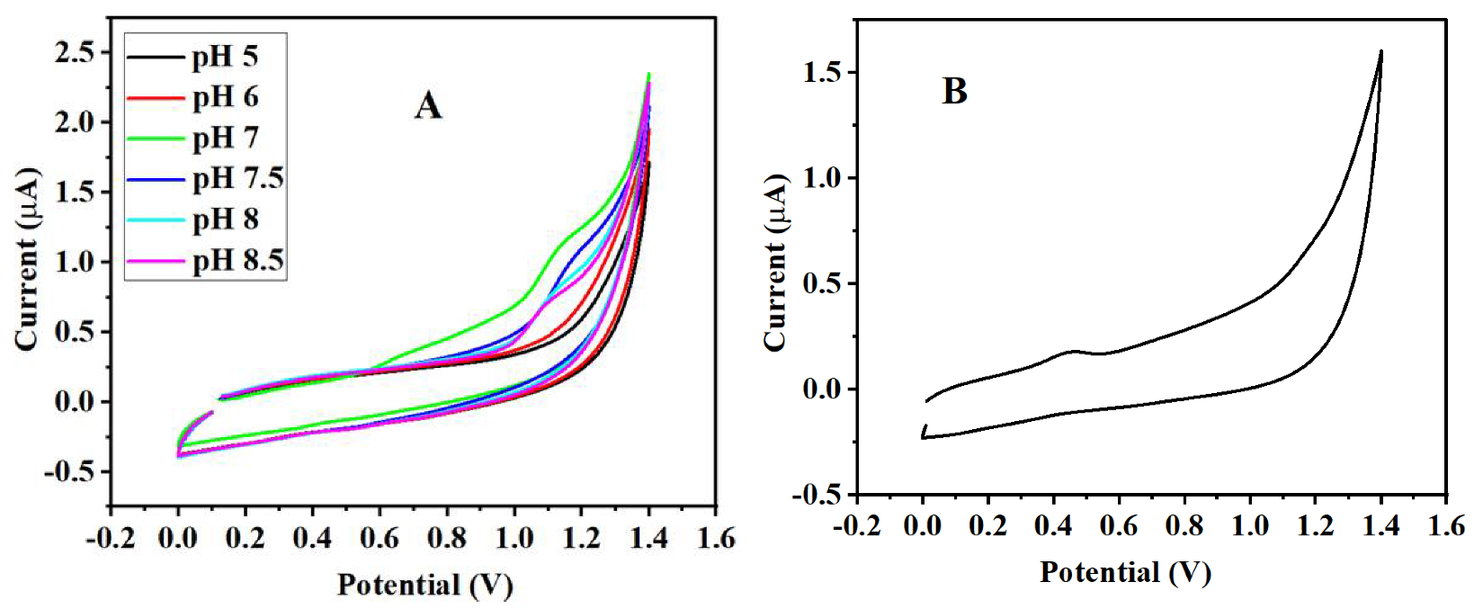 Catalysts 12 00830 g006 Catalysts 12 00830 g006