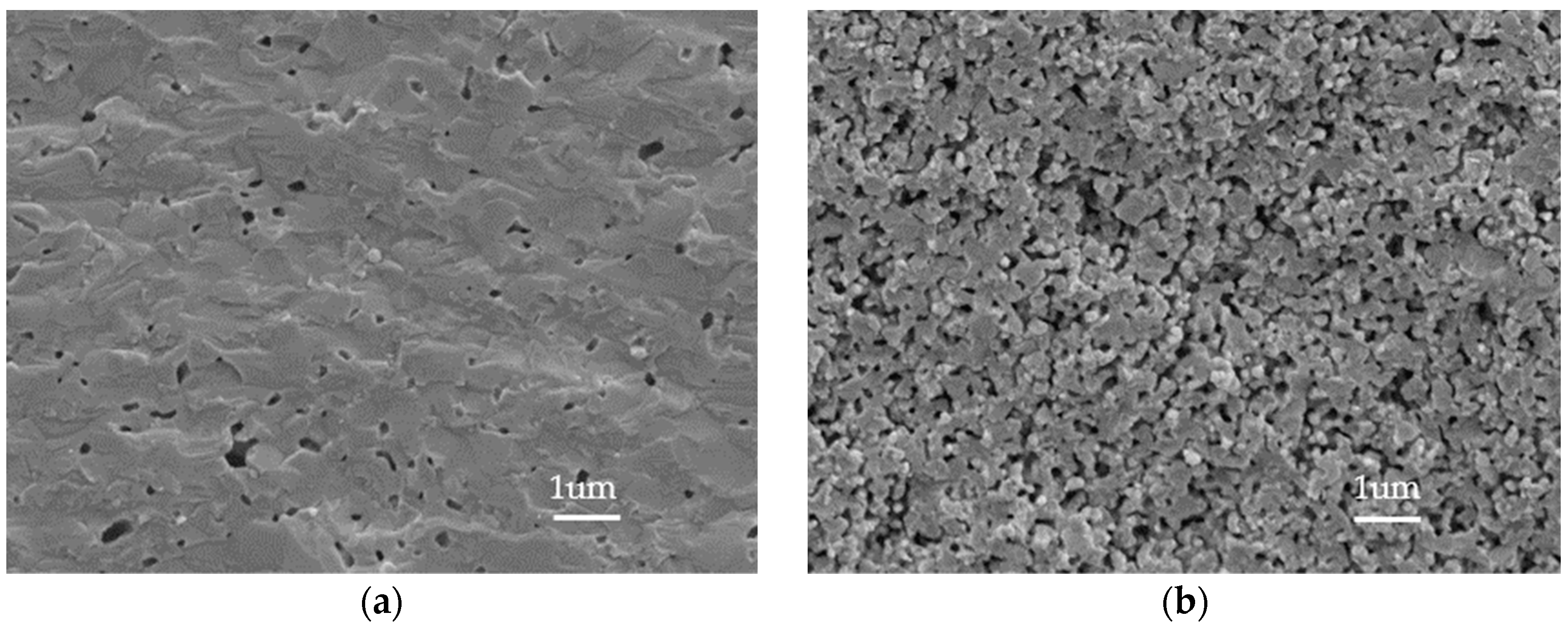 Catalysts 12 00831 g008 550