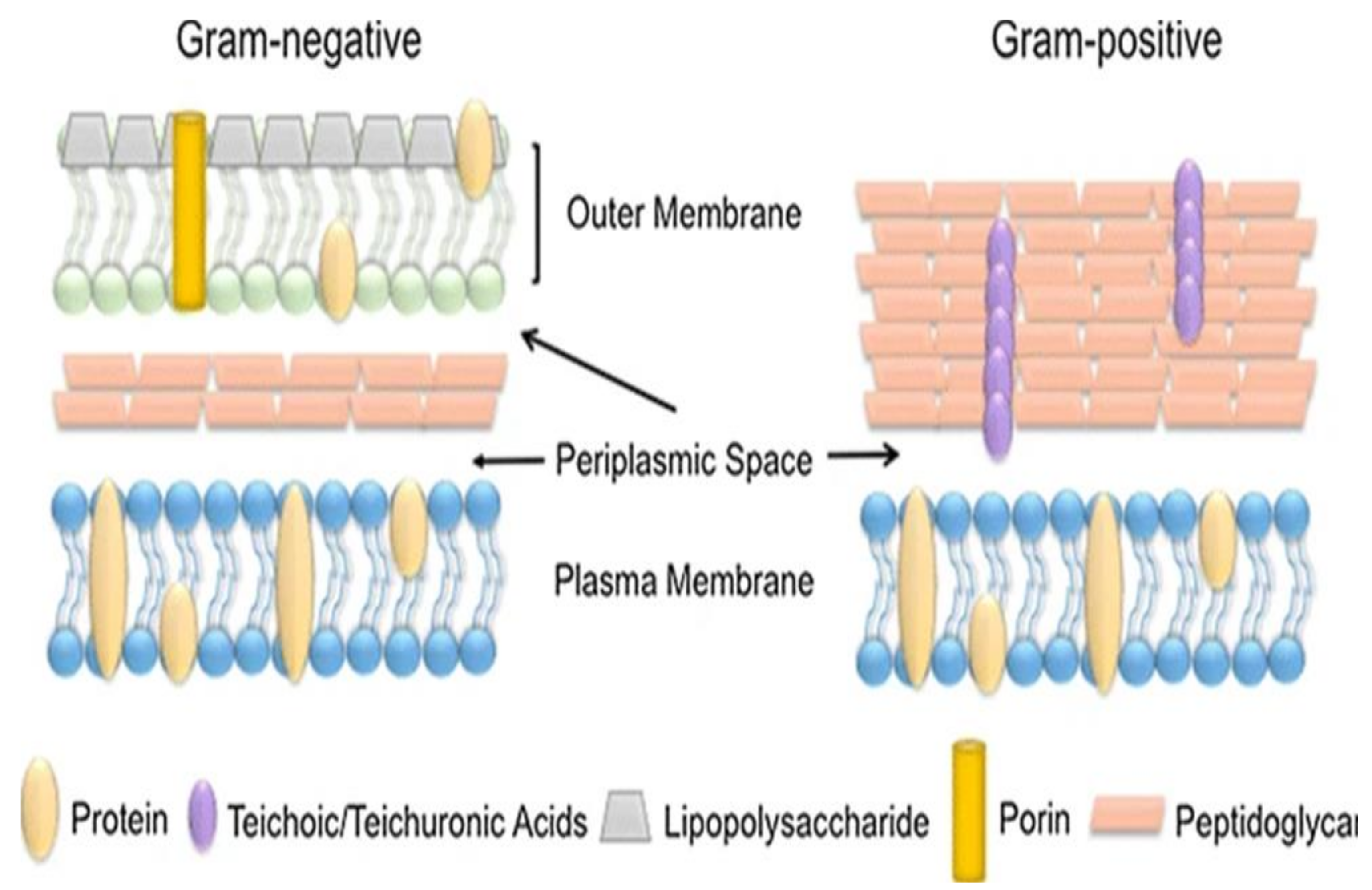 Catalysts 12 00833 g004 550
