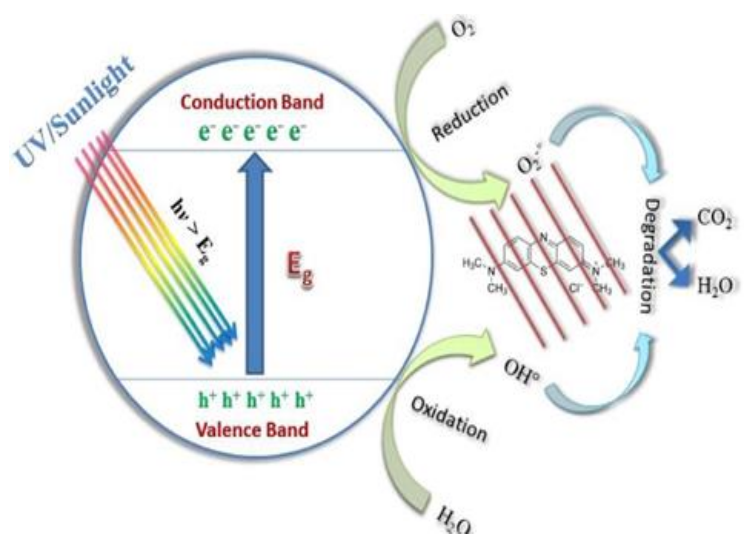 Catalysts 12 00833 g006 550