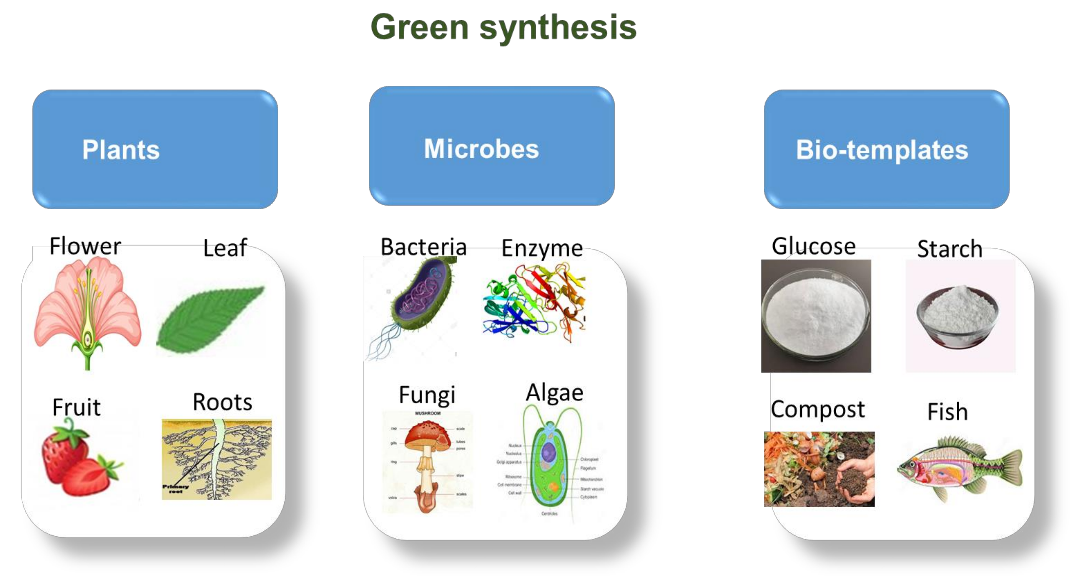 Catalysts 12 00833 g008 550