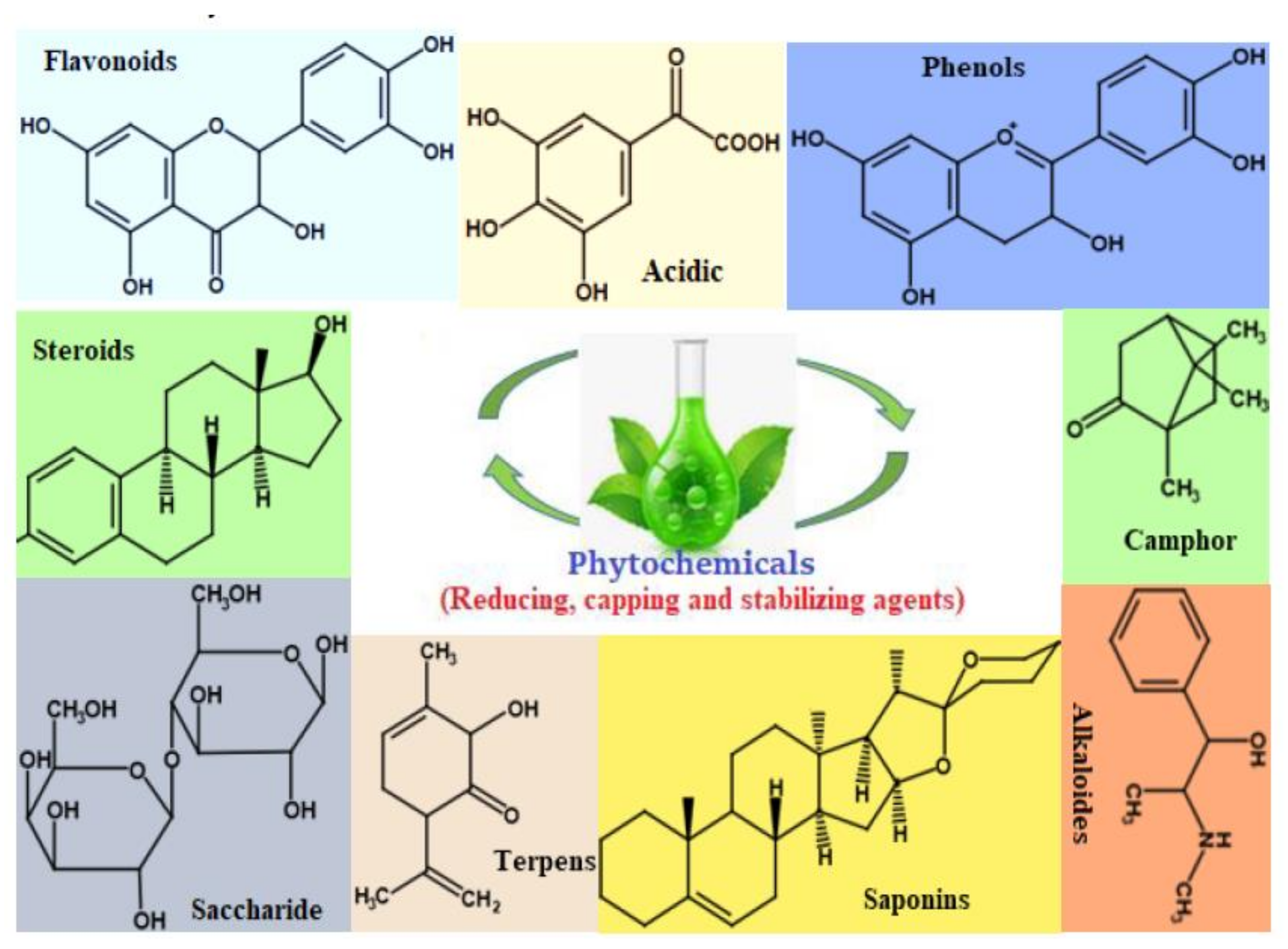 Catalysts 12 00833 g009 550