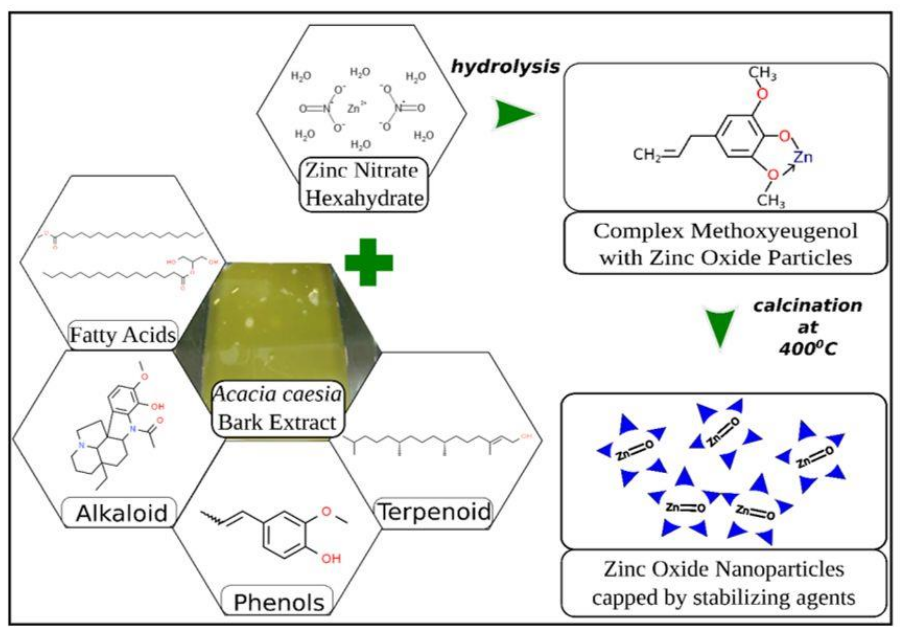 Catalysts 12 00833 g011 550