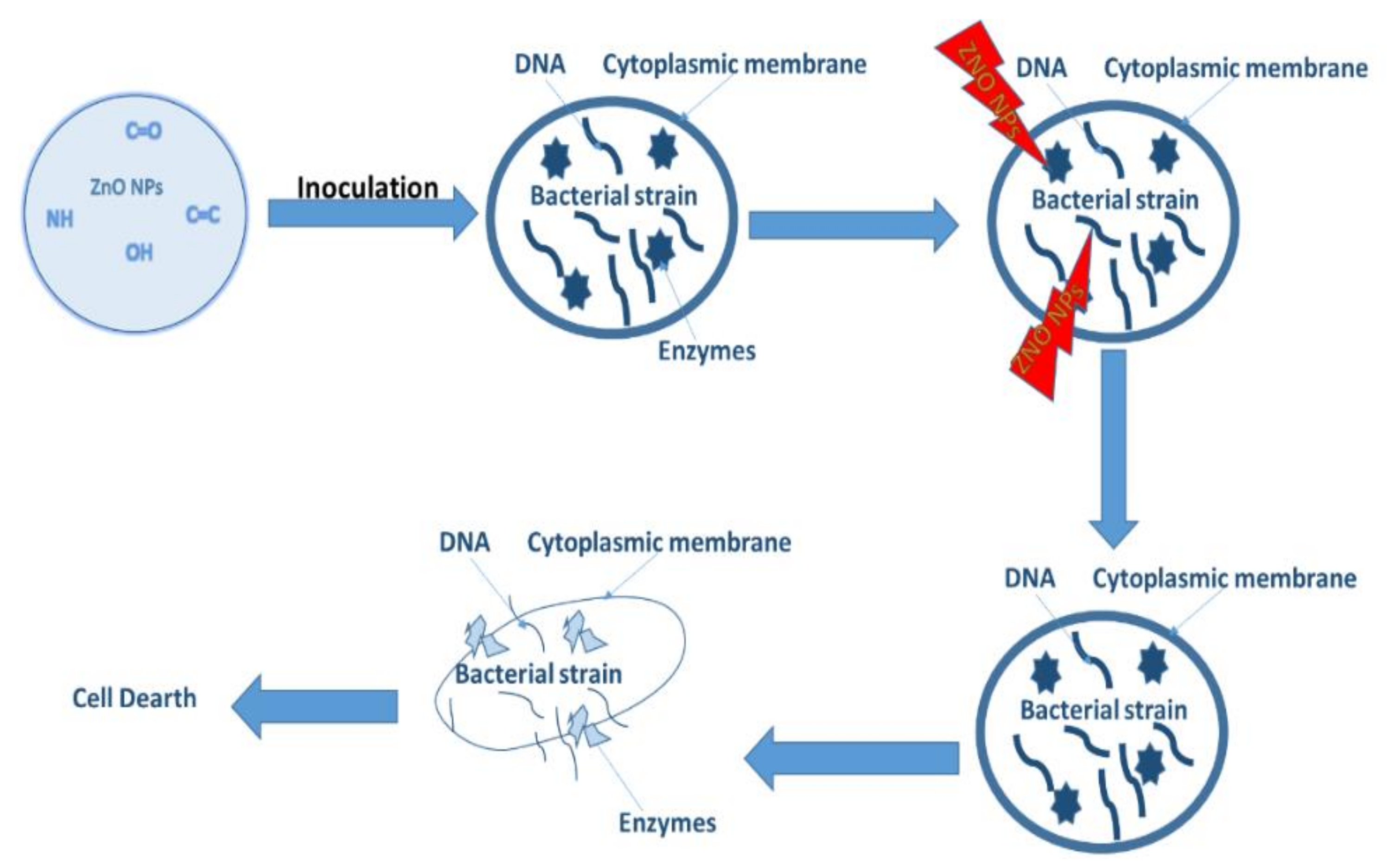 Catalysts 12 00833 g012 550