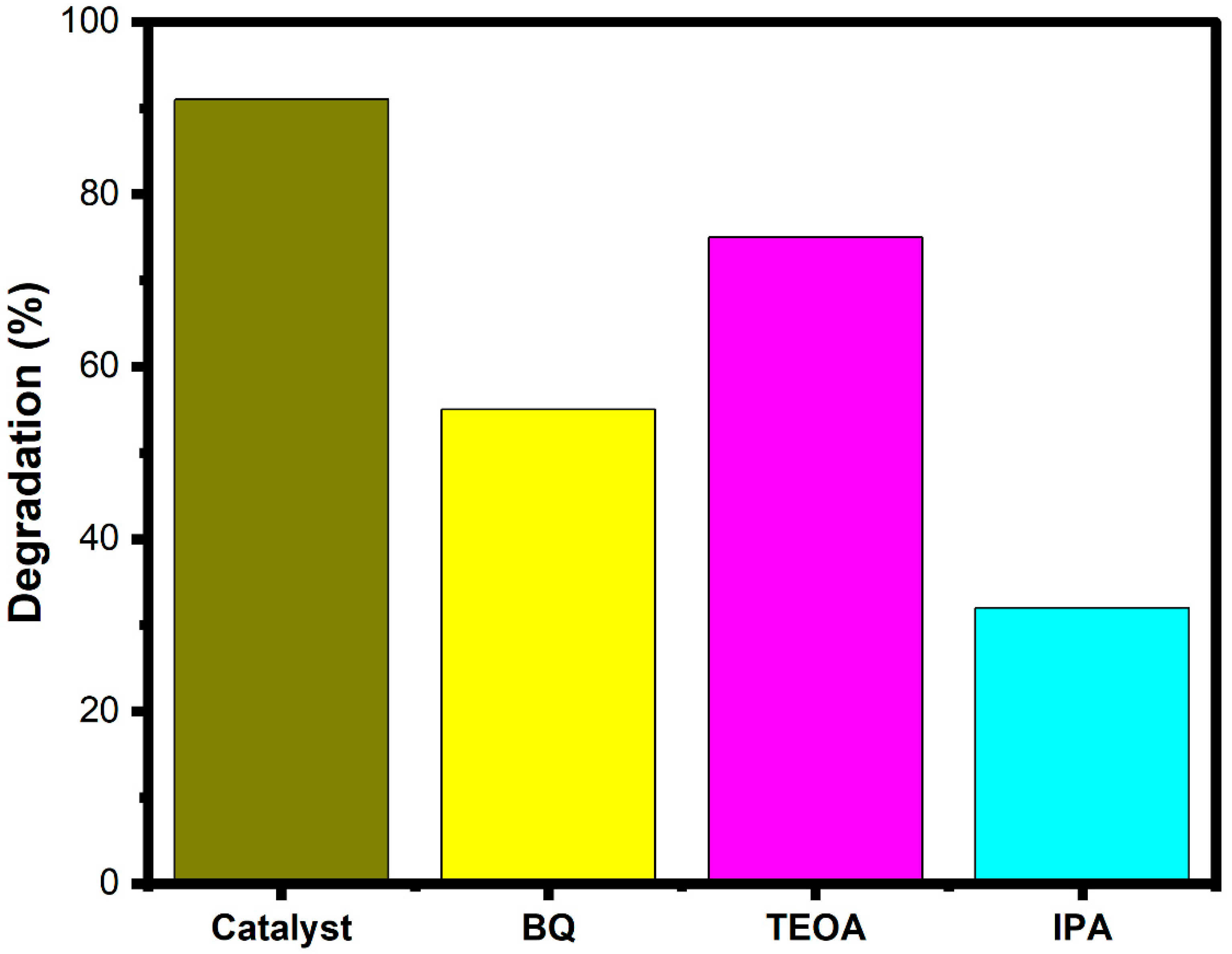 Catalysts 12 00834 g011
