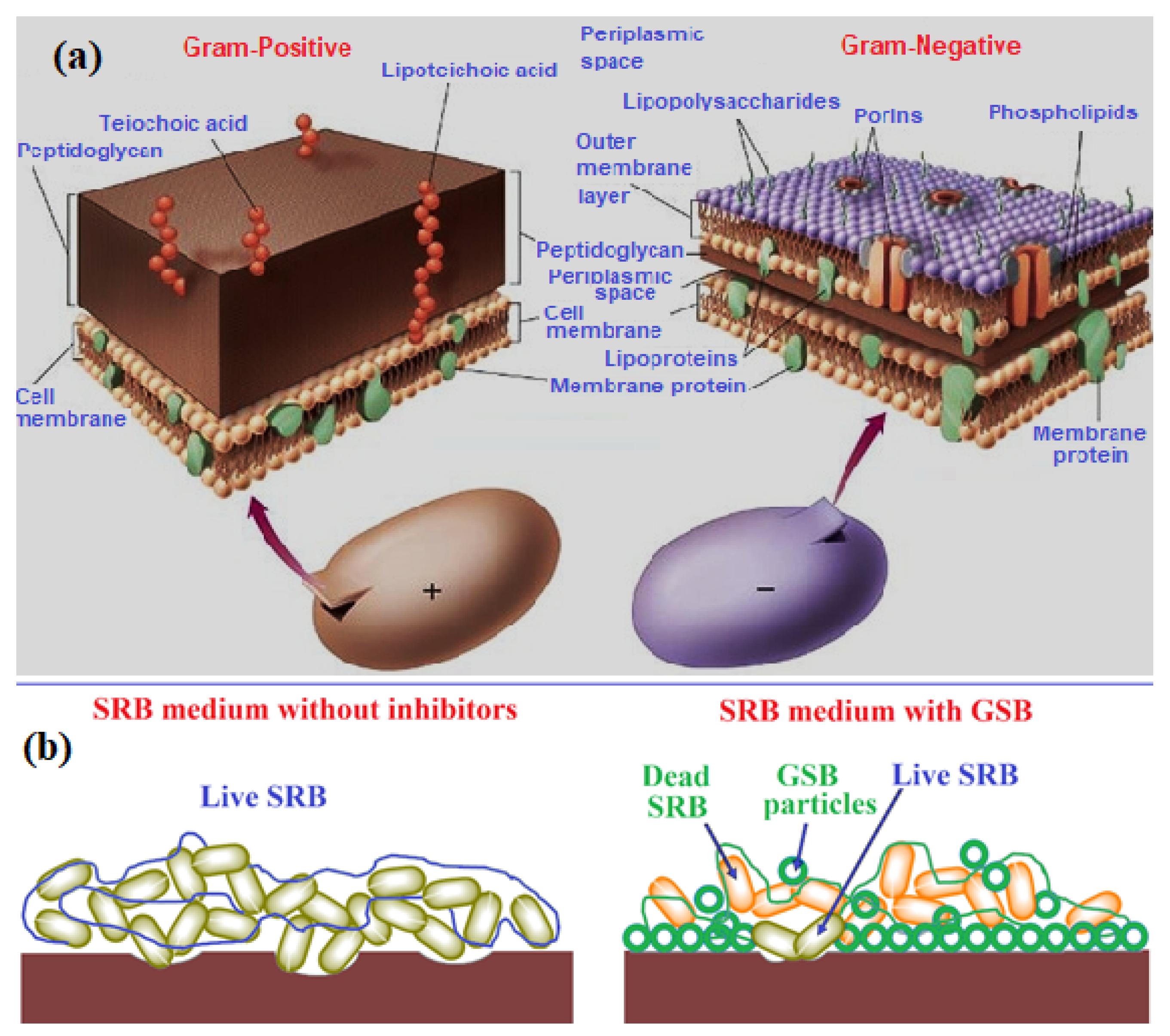 Catalysts 12 00838 g007