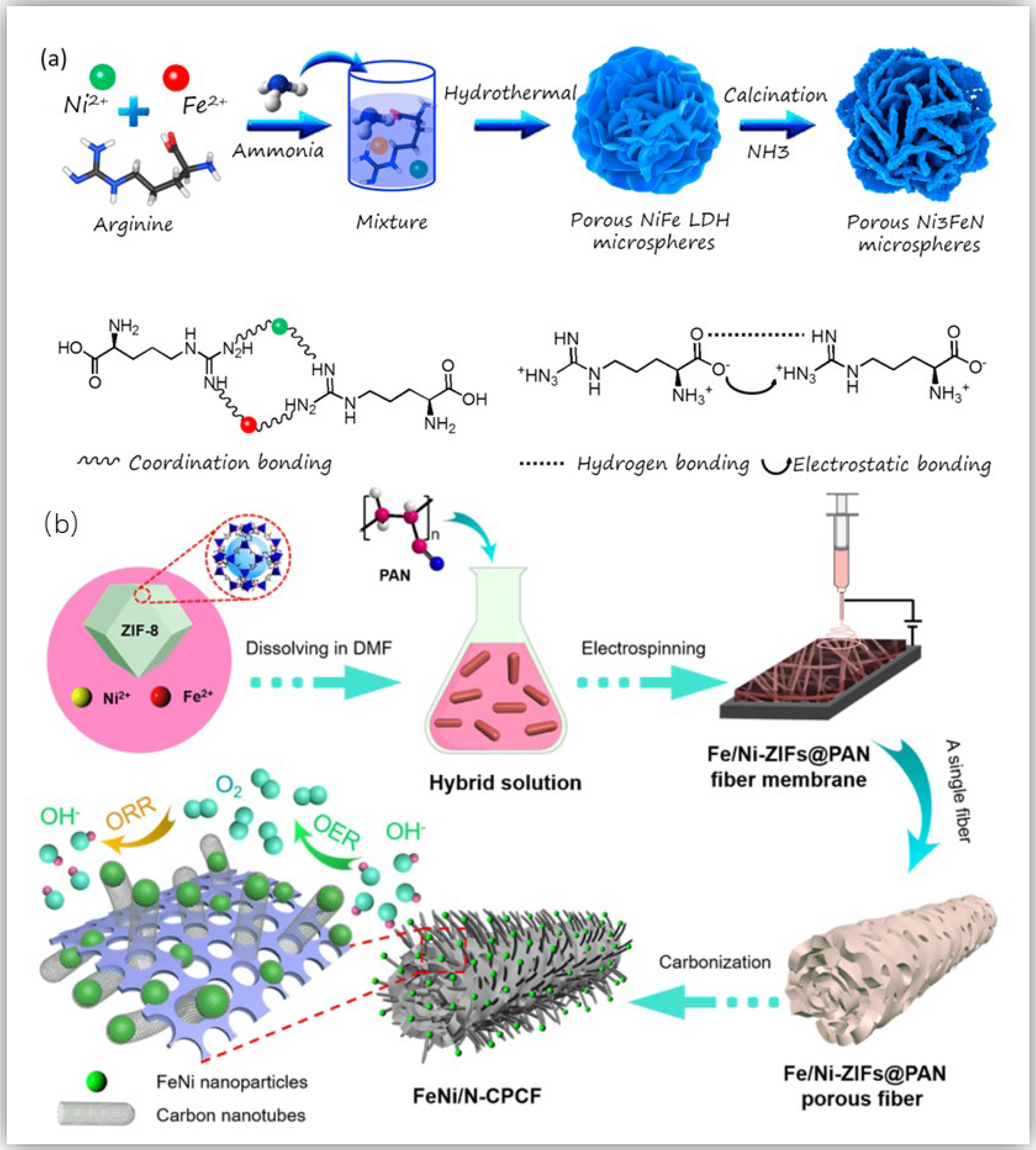 Catalysts 12 00843 g005