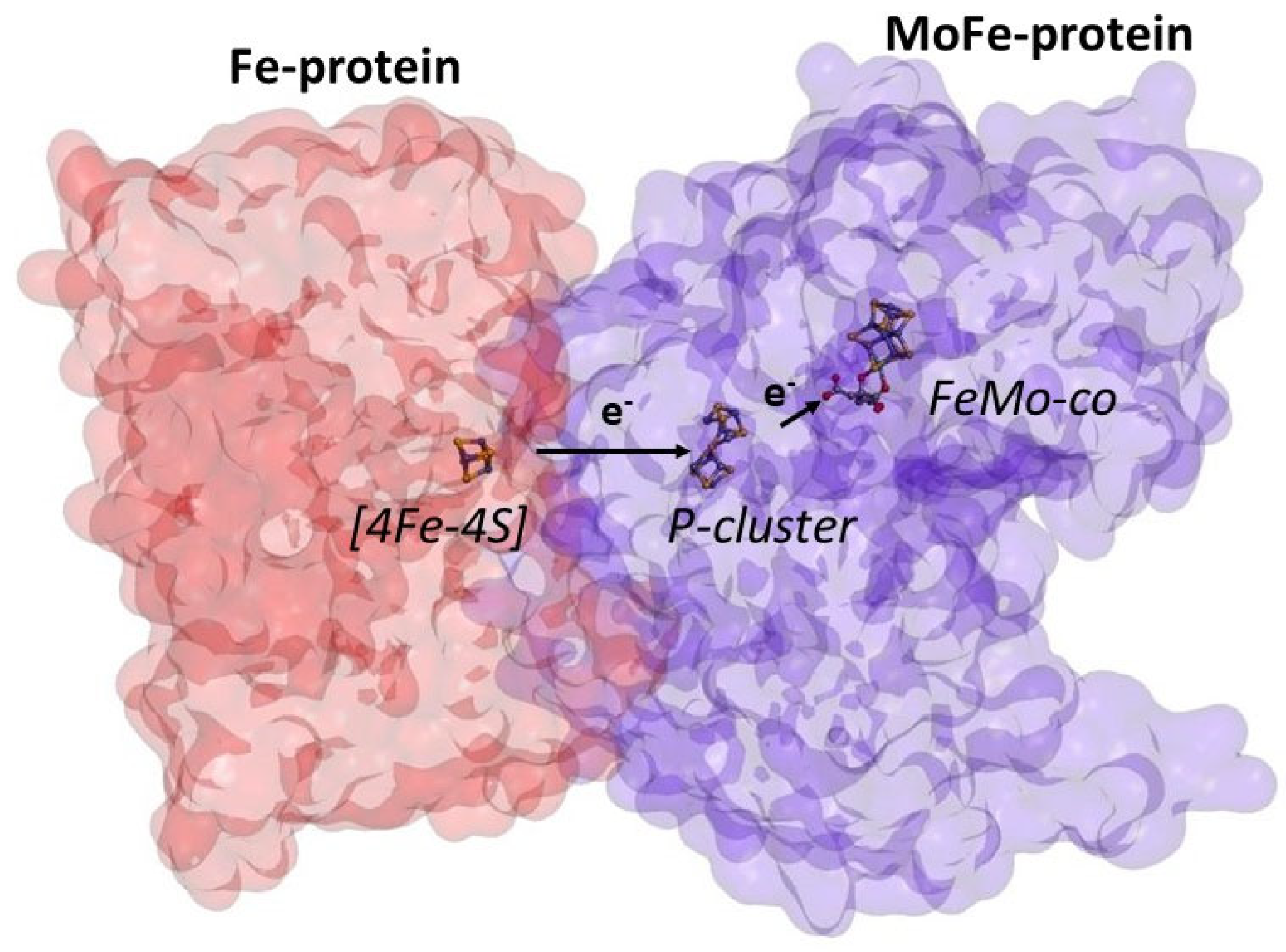 Catalysts 12 00844 g002 Catalysts 12 00844 g002