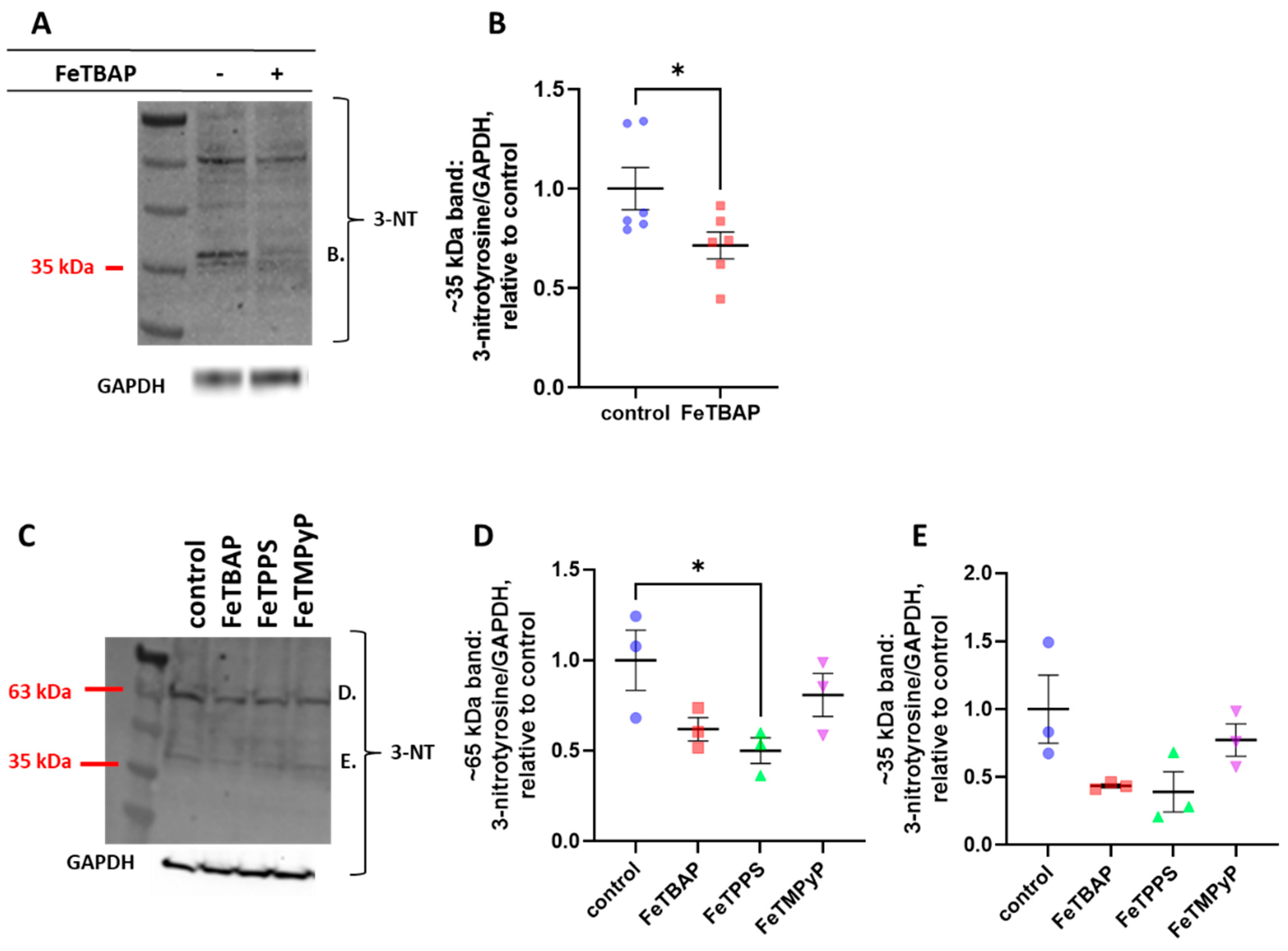 Catalysts 12 00849 g003 Catalysts 12 00849 g003