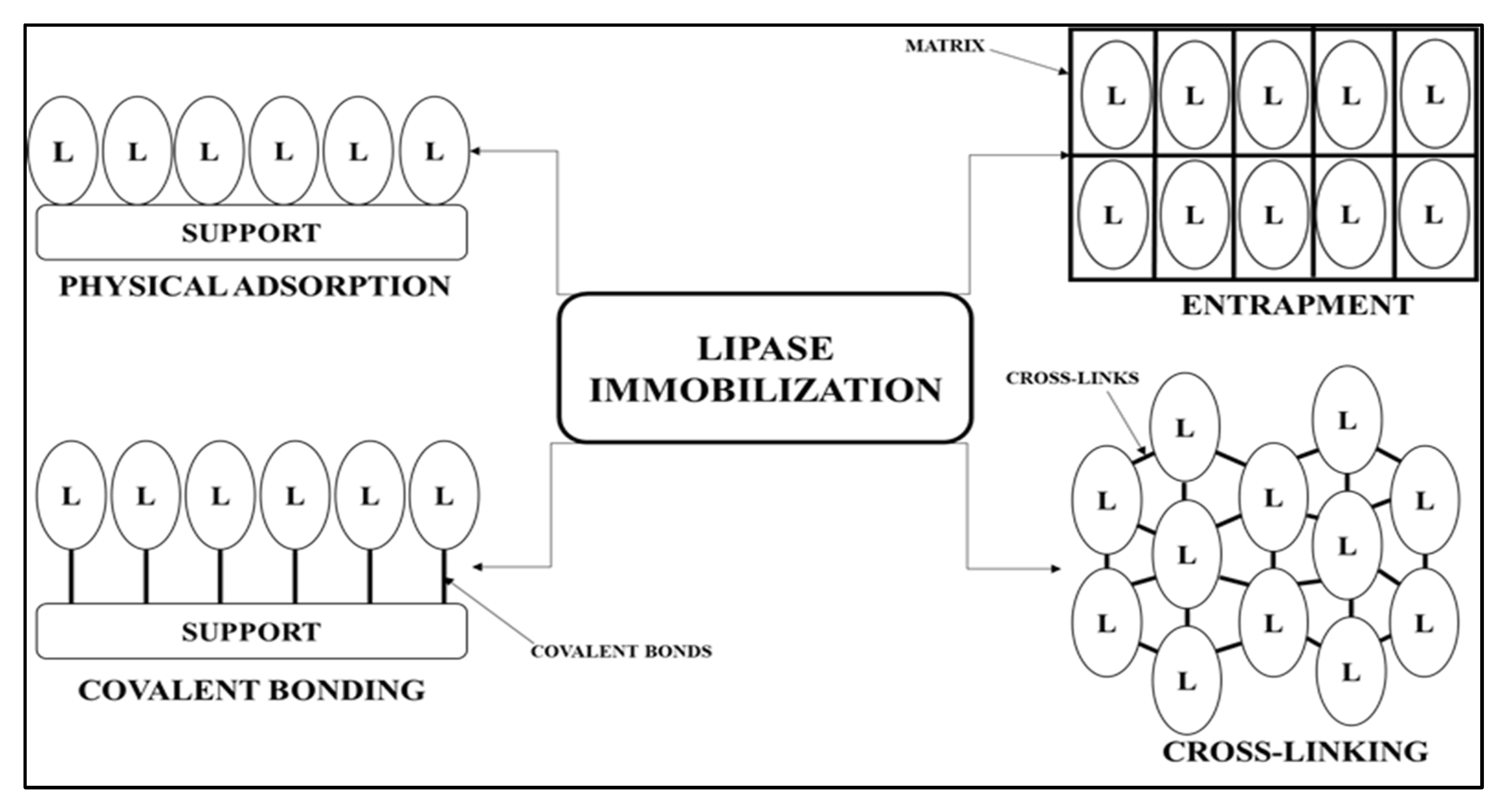 Catalysts 12 00853 g002 Catalysts 12 00853 g002