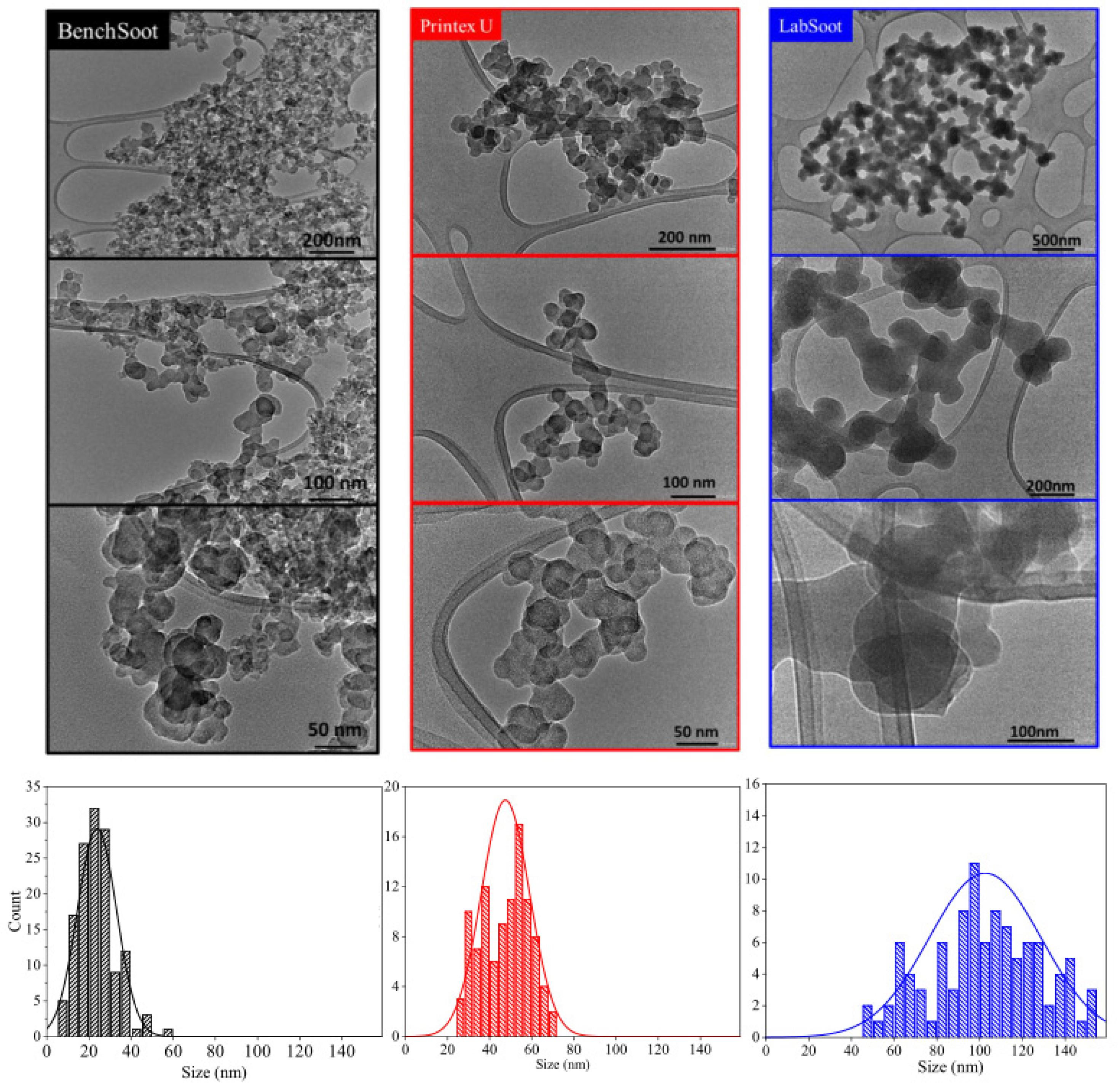 Catalysts 12 00855 g004