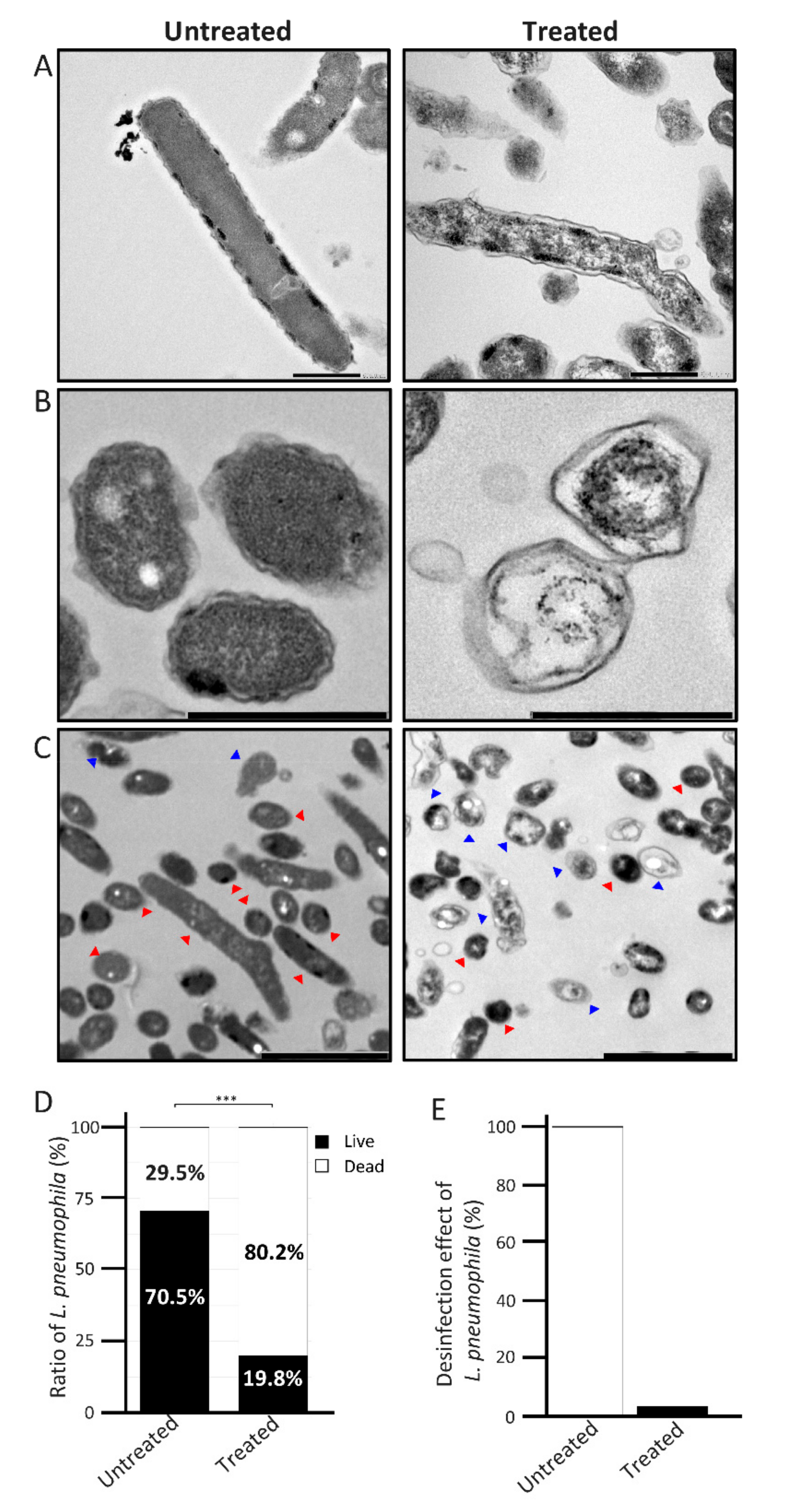 Catalysts 12 00856 g004 Catalysts 12 00856 g004