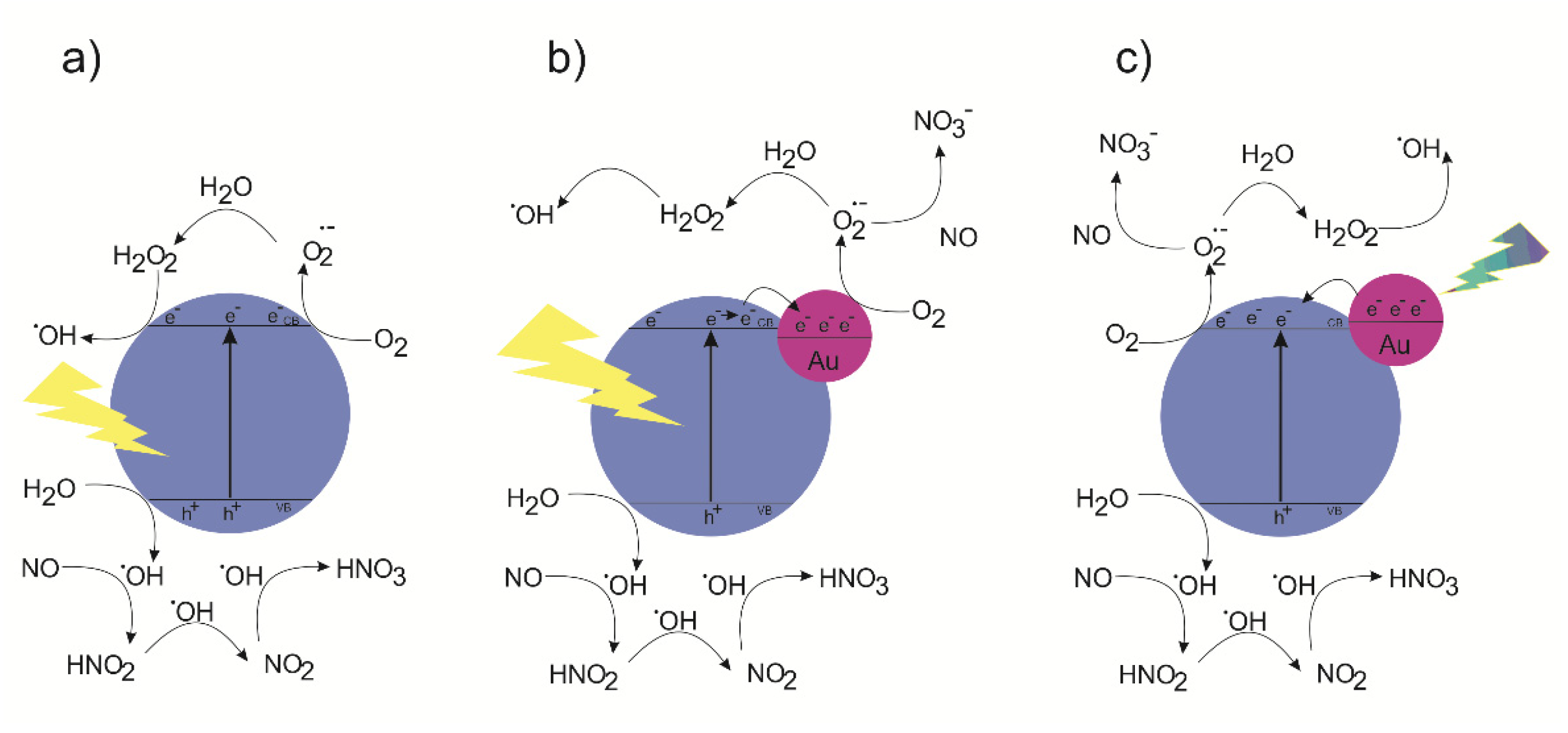 Catalysts 12 00857 g005