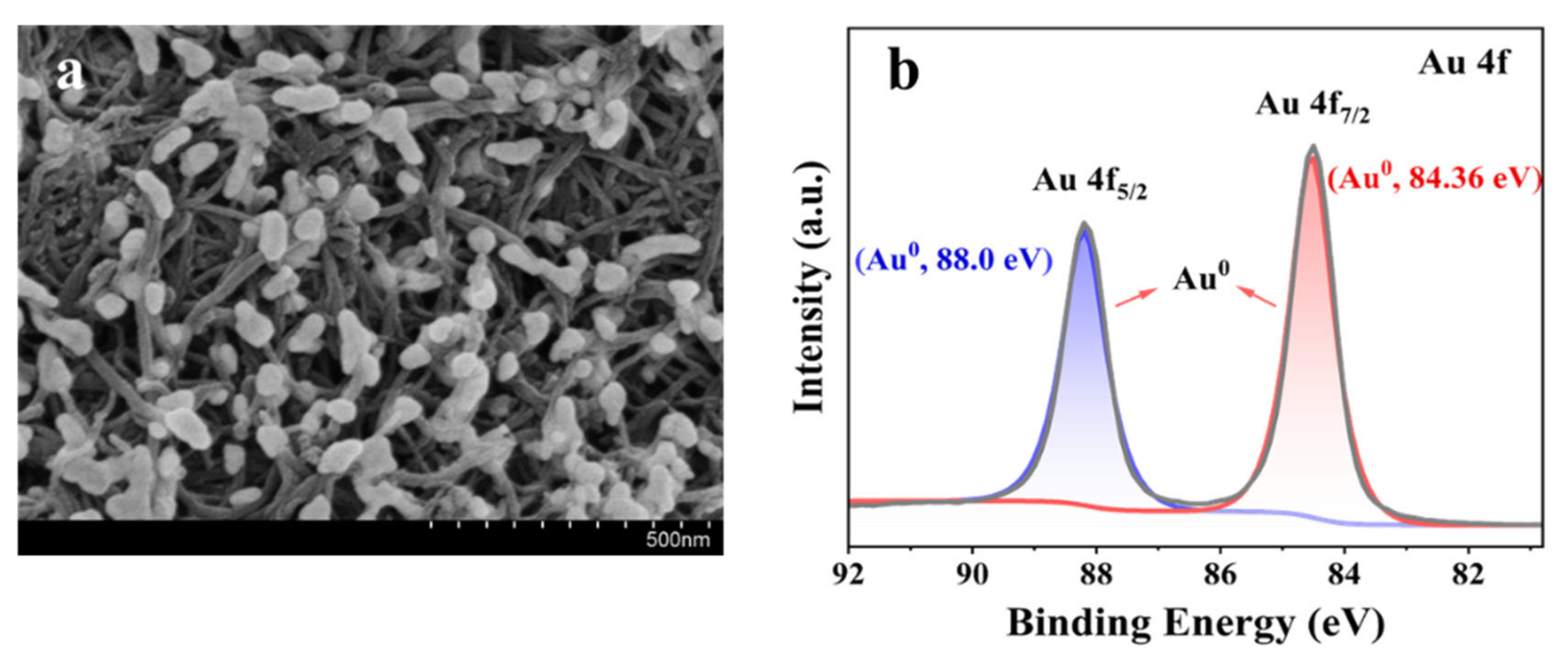 Catalysts 12 00861 g002 Catalysts 12 00861 g002