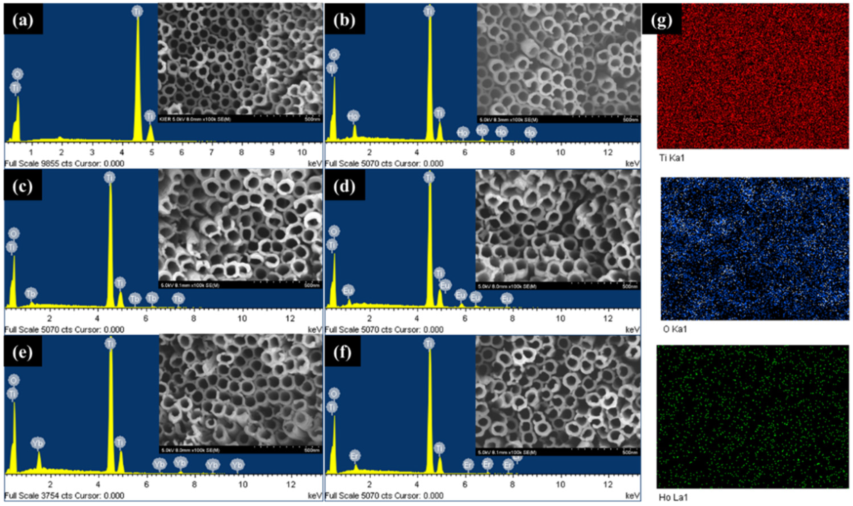 Catalysts 12 00866 g001 550