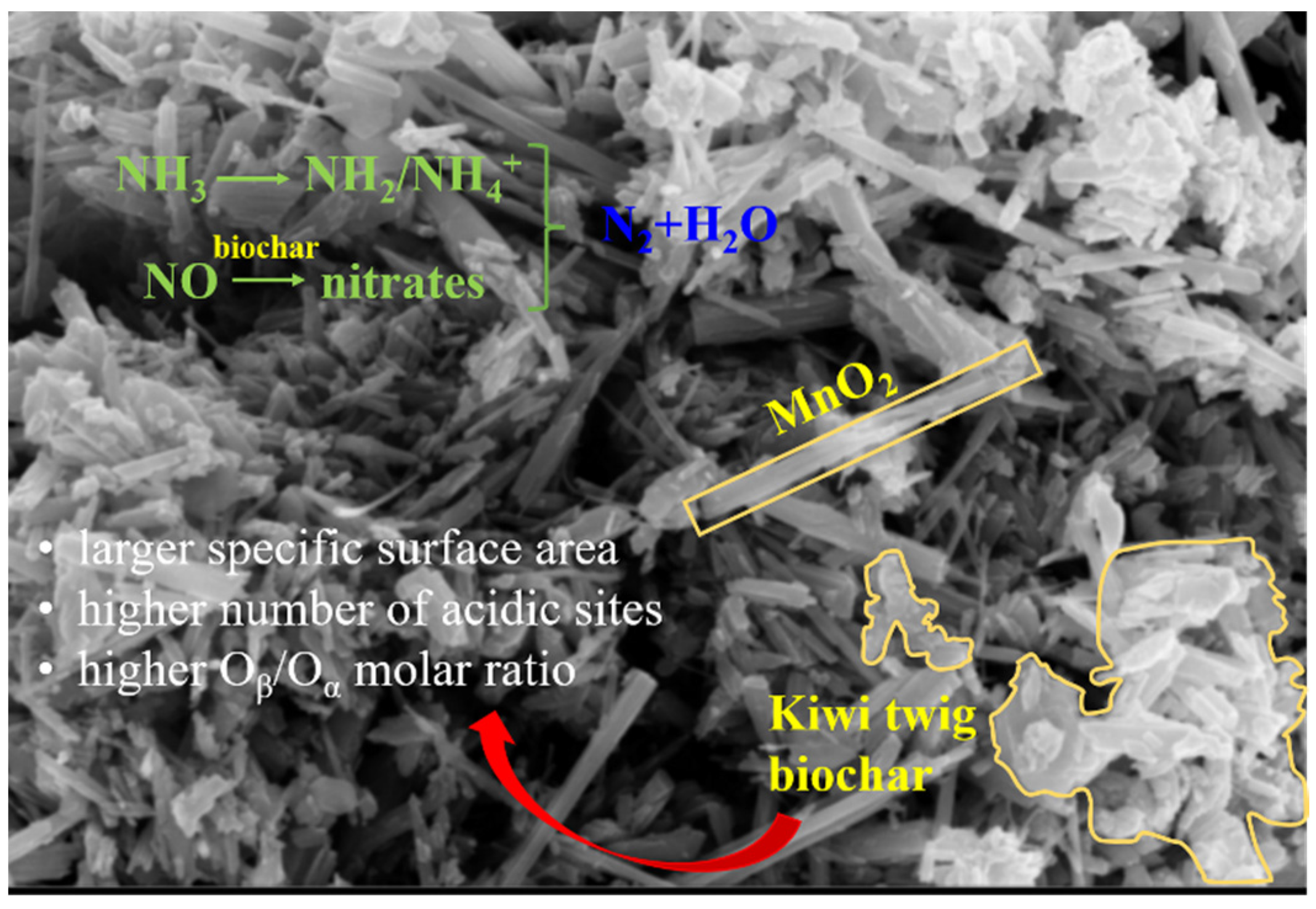 Catalysts 12 00870 g007