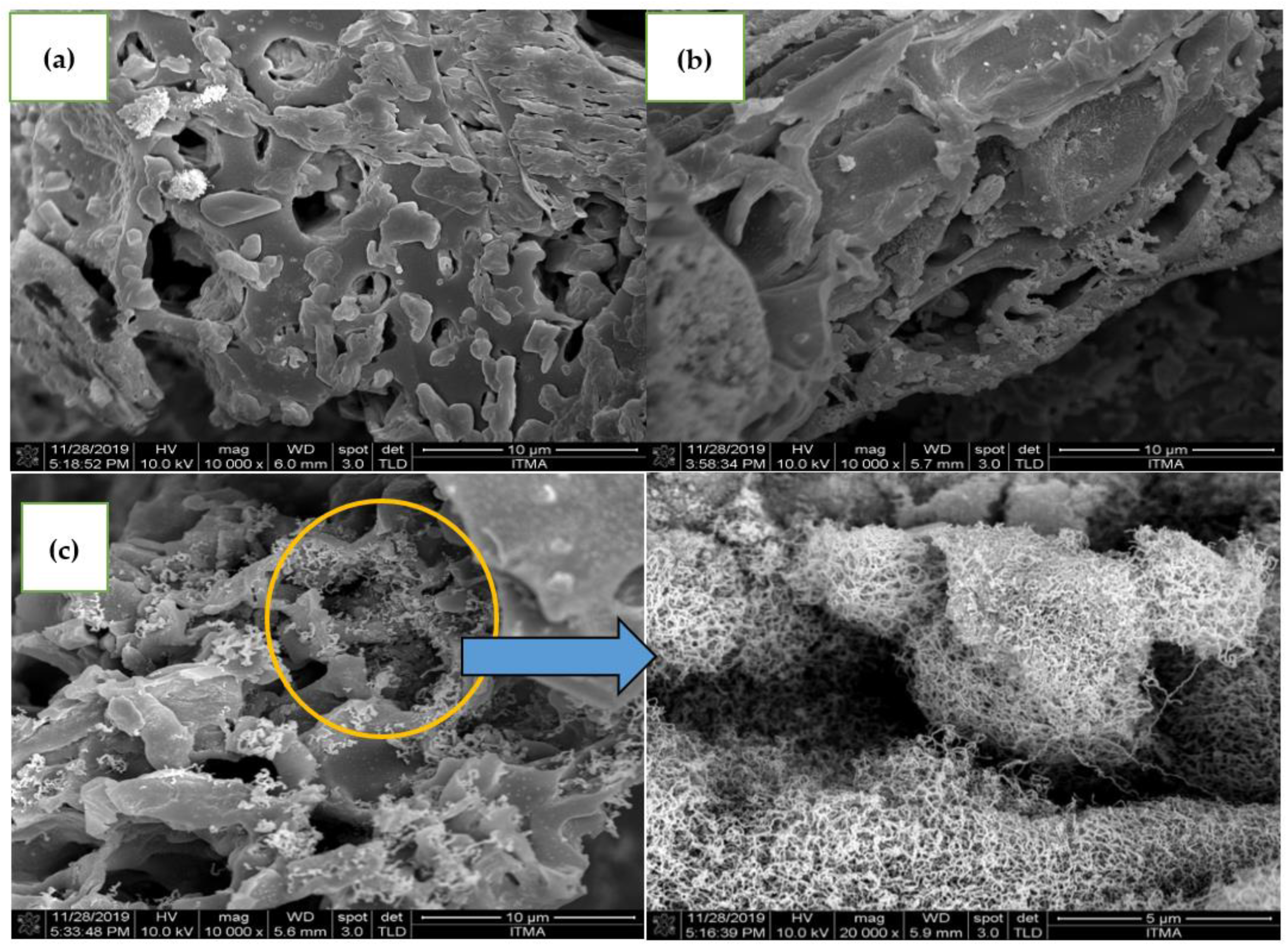Catalysts 12 00874 g004 550